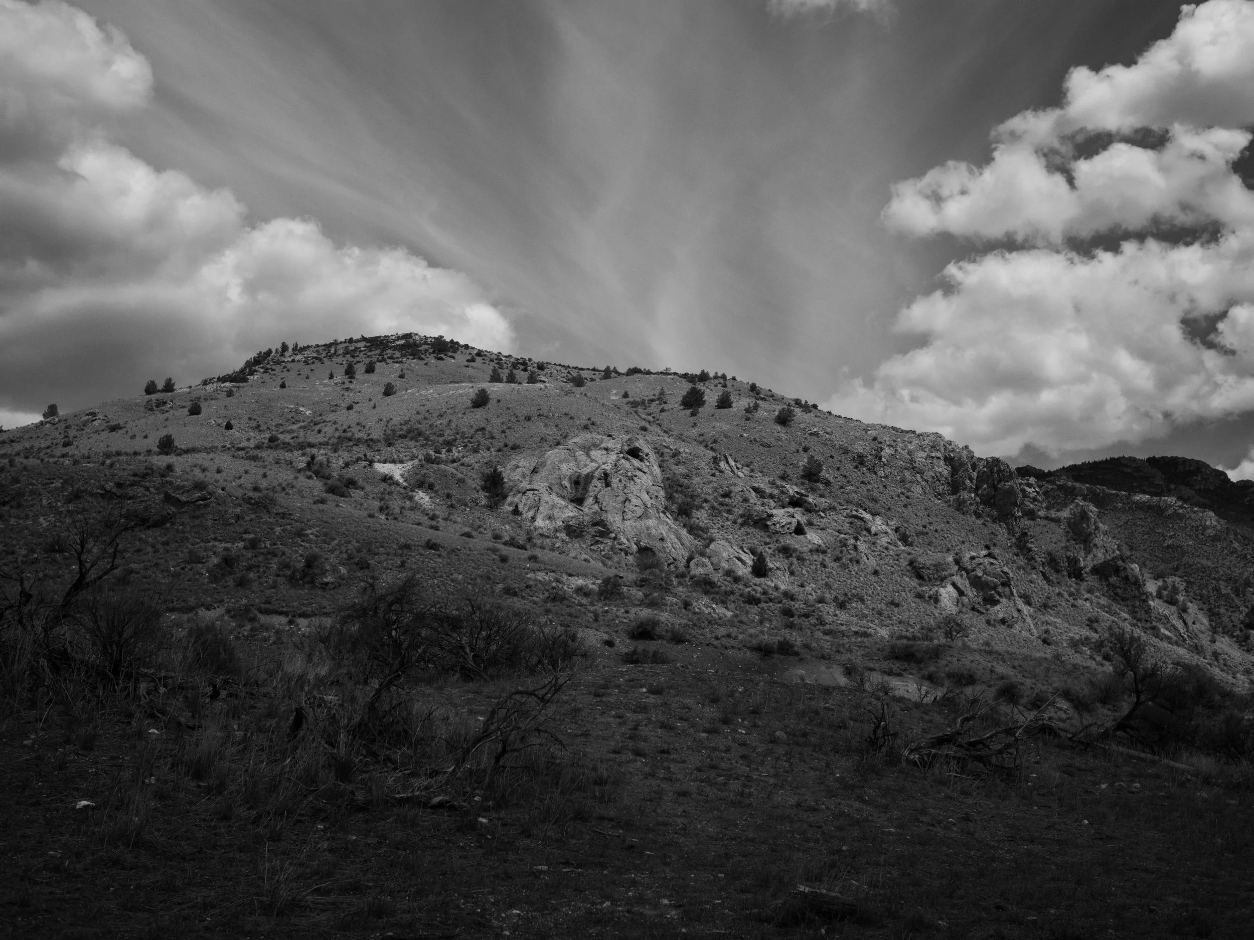 scarfone-striated-40.jpg