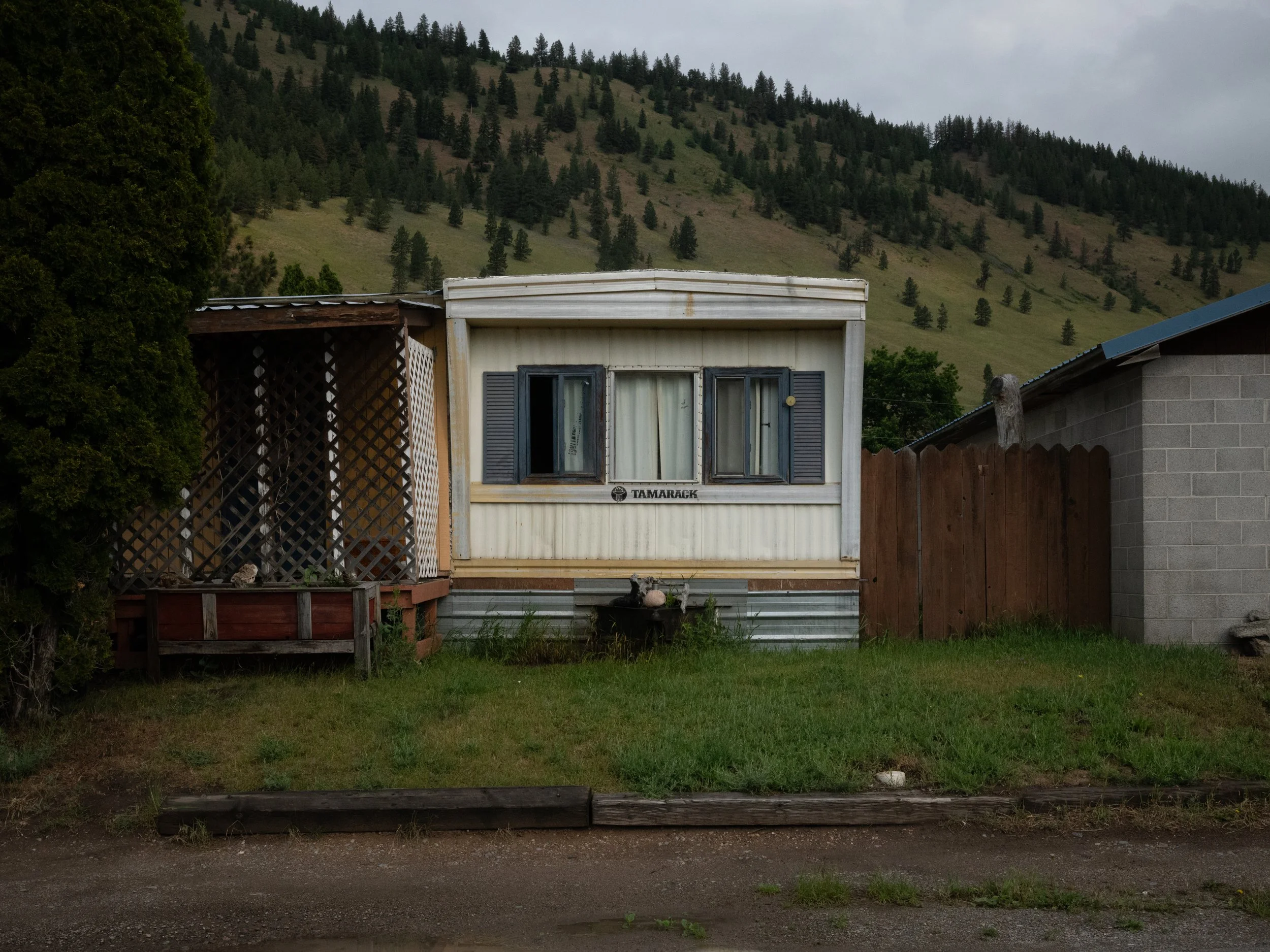 scarfone-east-missoula-tamarack.jpg