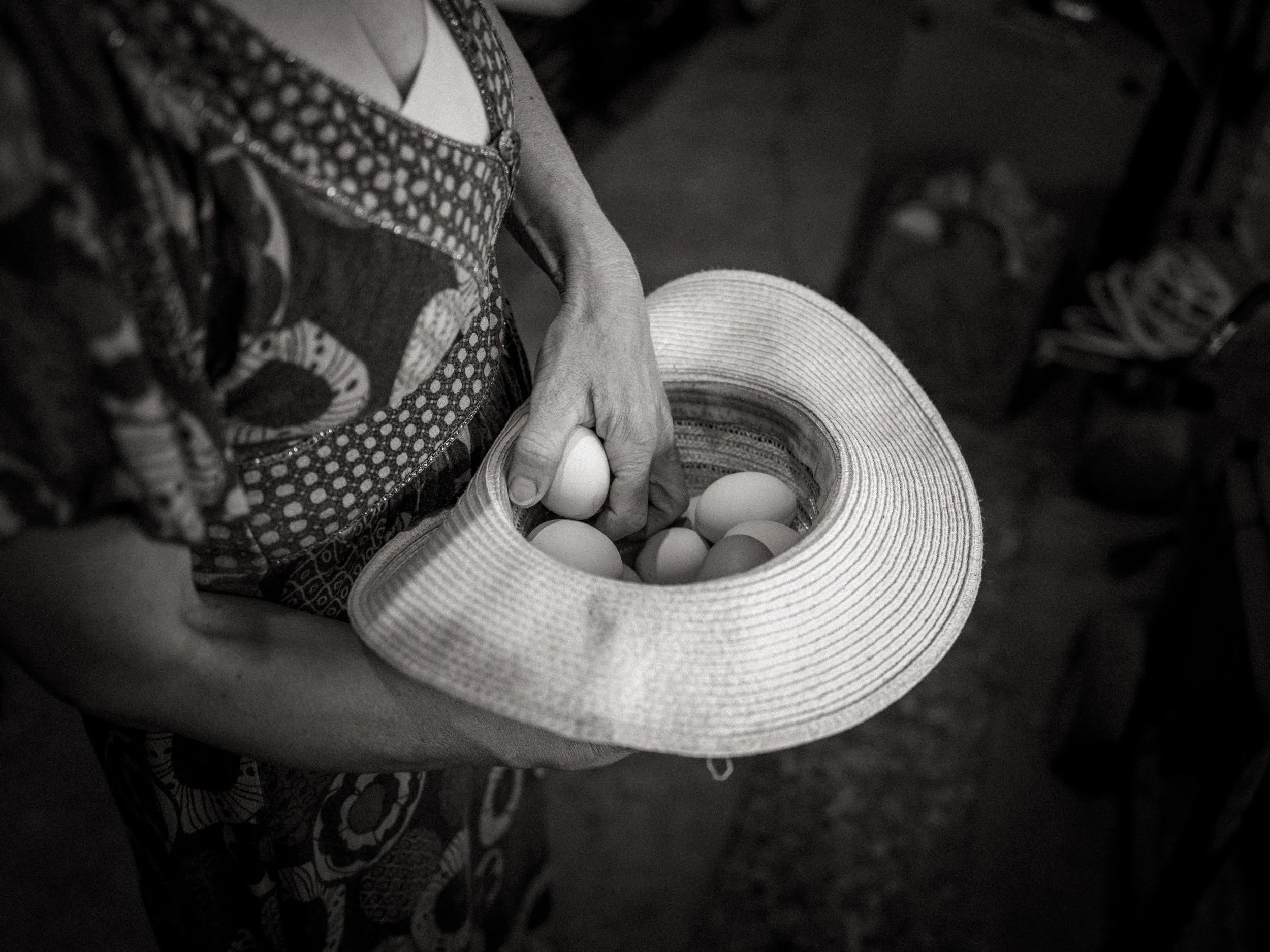 scarfone-danielle-eggs.jpg