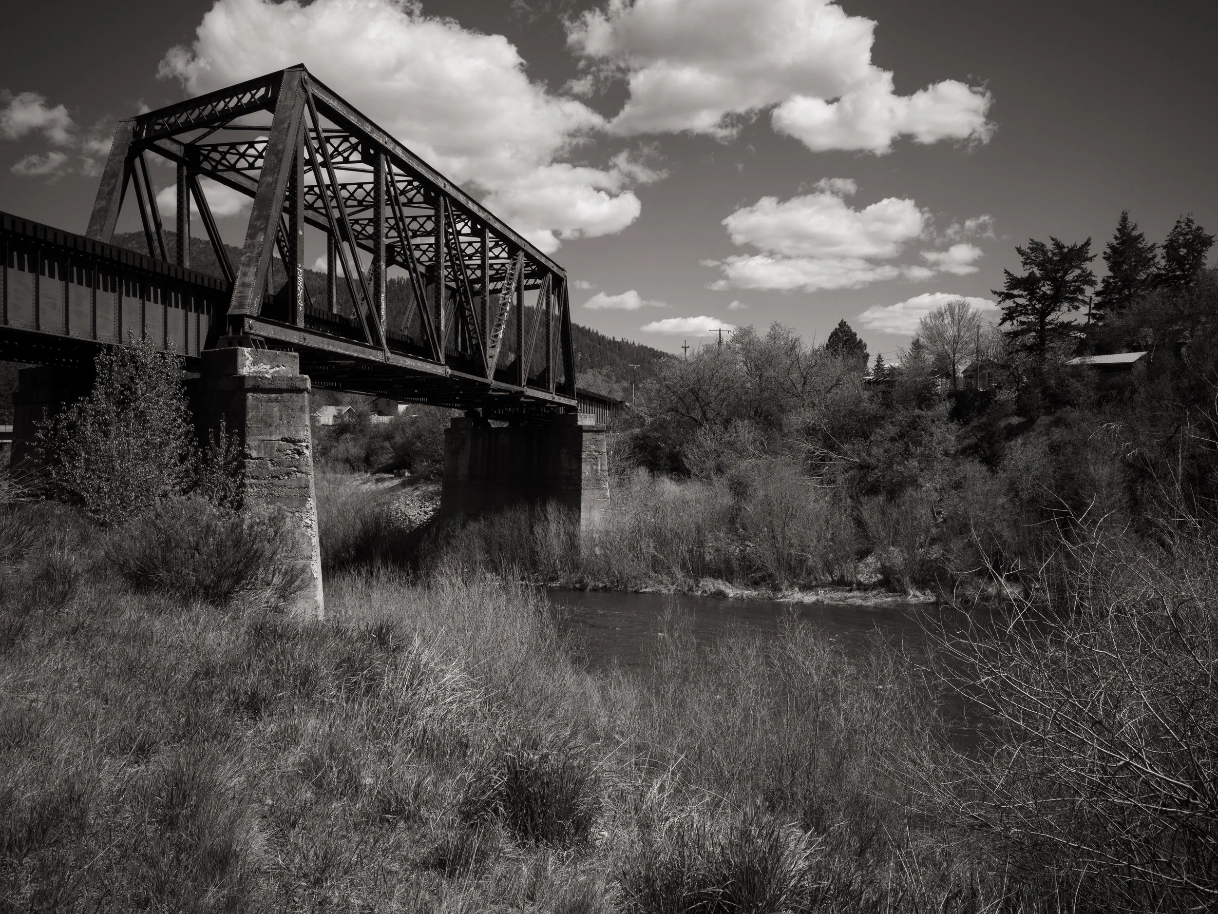 scarfone-bonner-tracks.jpg