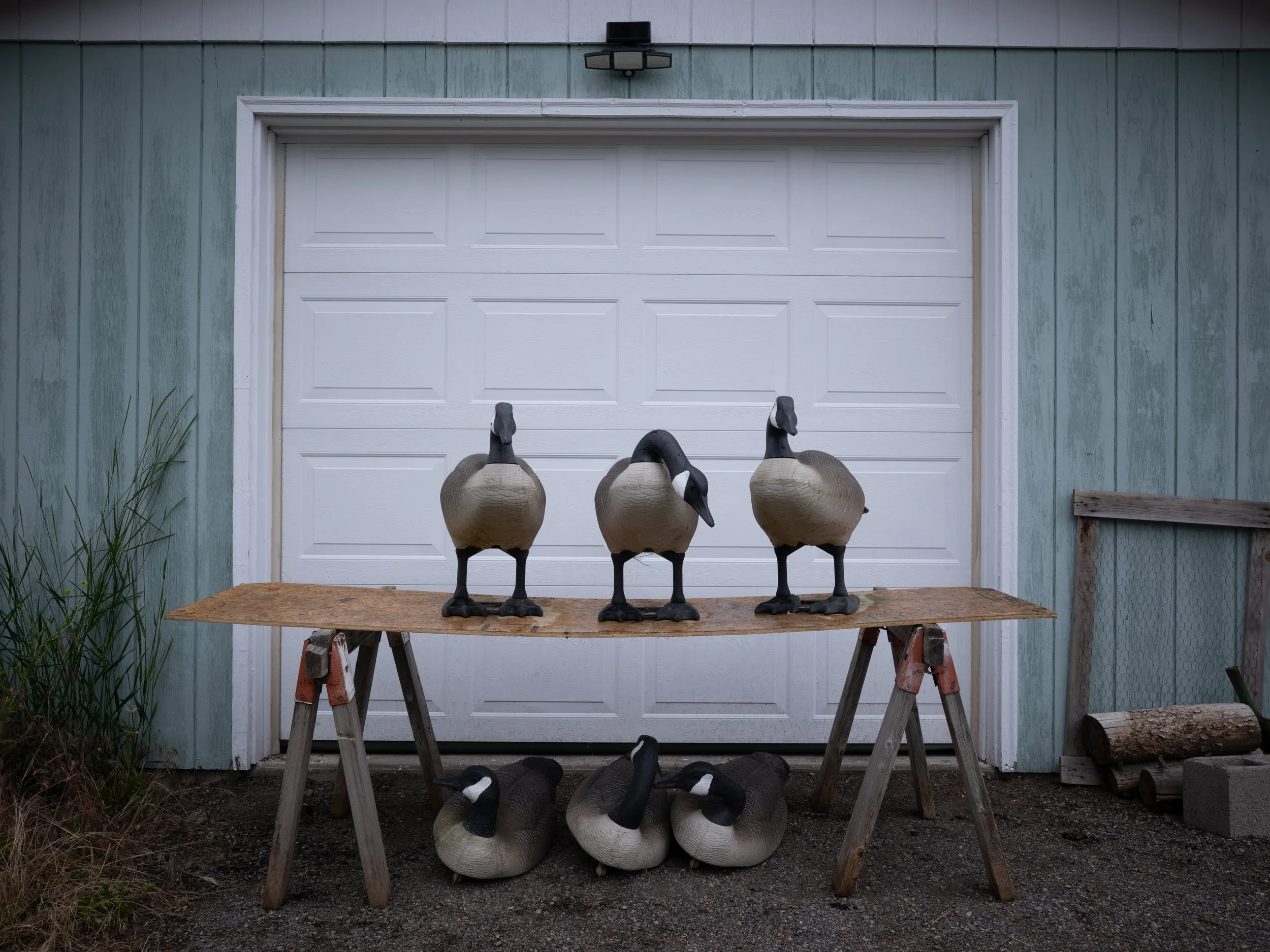 scarfone-goose-decoys.jpg