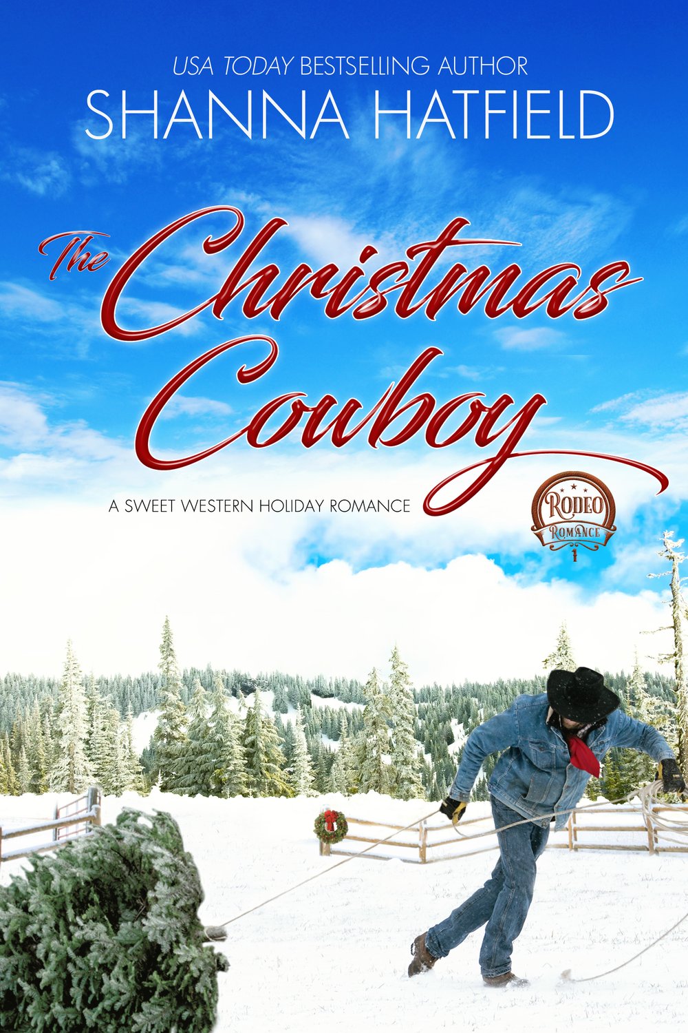 Christmas Cowboy 22.jpg