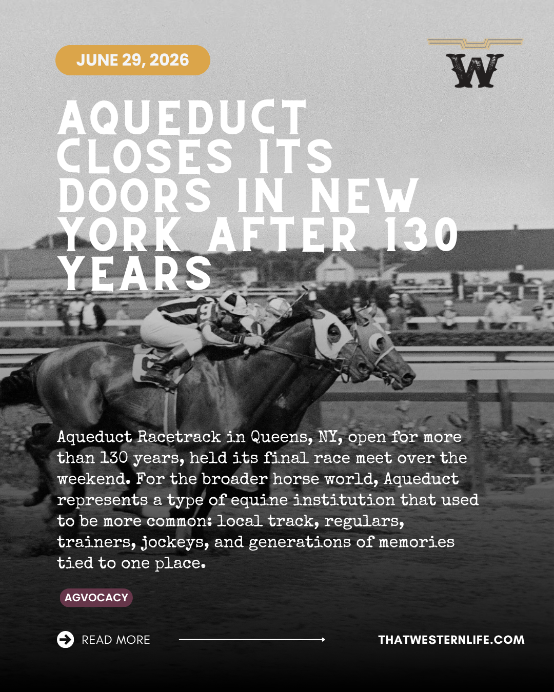 Aqueducts Final Races Are a Warning Sign for the Horse World