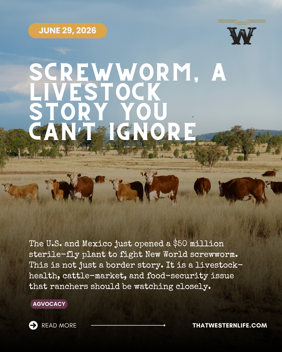 Screwworm Is Becoming a LIvestock Story the Western World Cannot Ignore