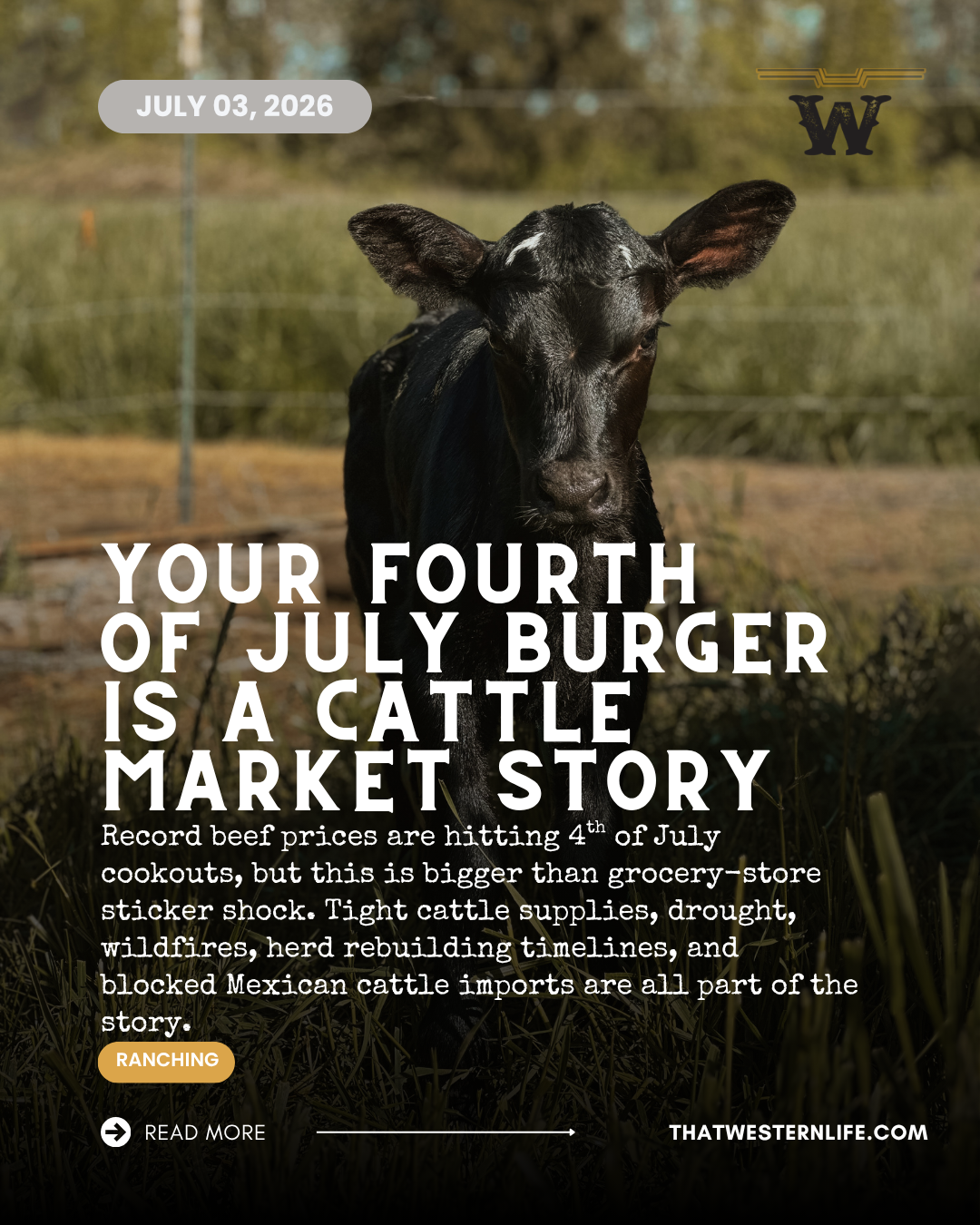 Record Beef Prices Are Turning the Fourth of July Into a Ranching Story