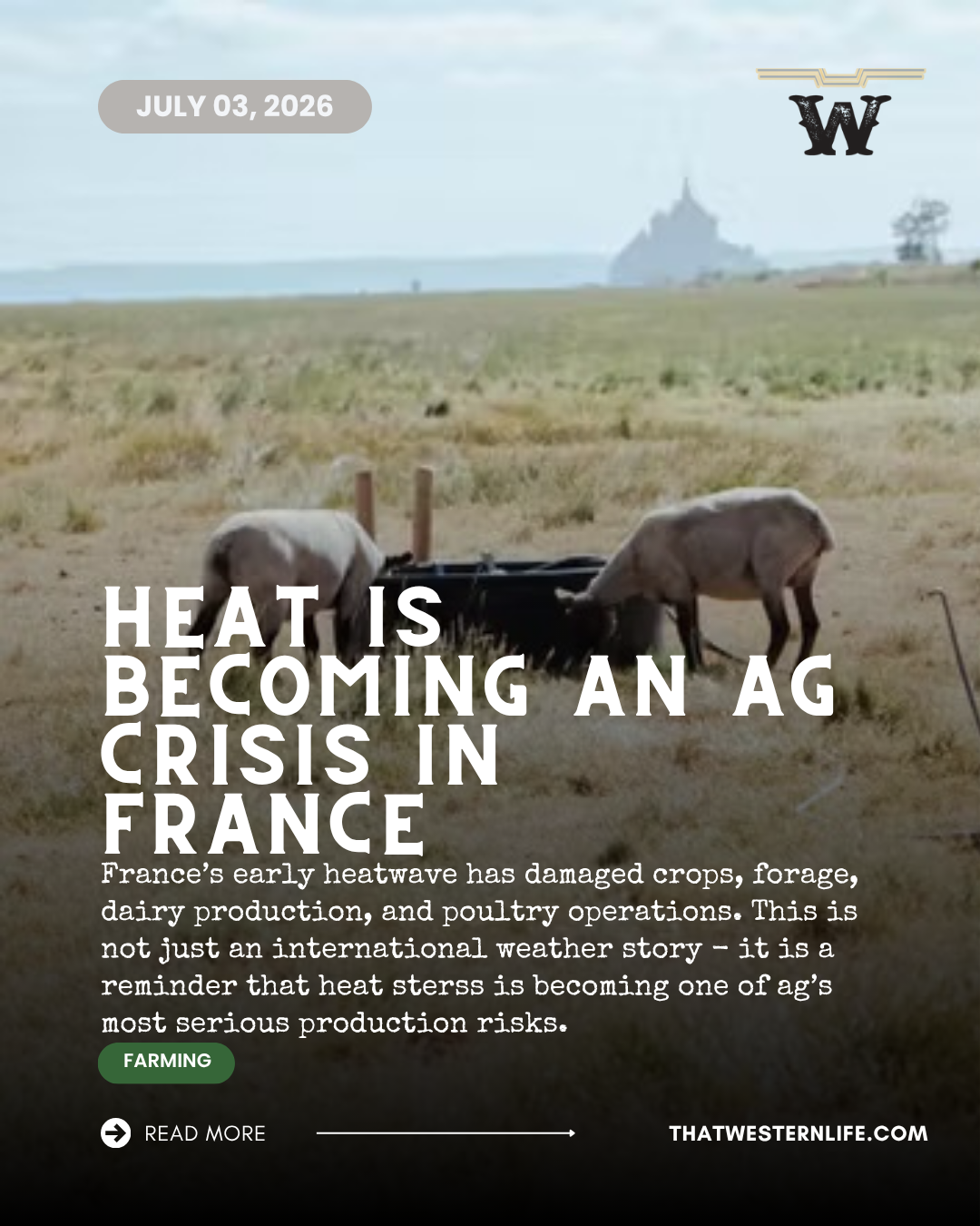 France's Heatwave Is a Warning for Livestock and Crop Producers Everywhere