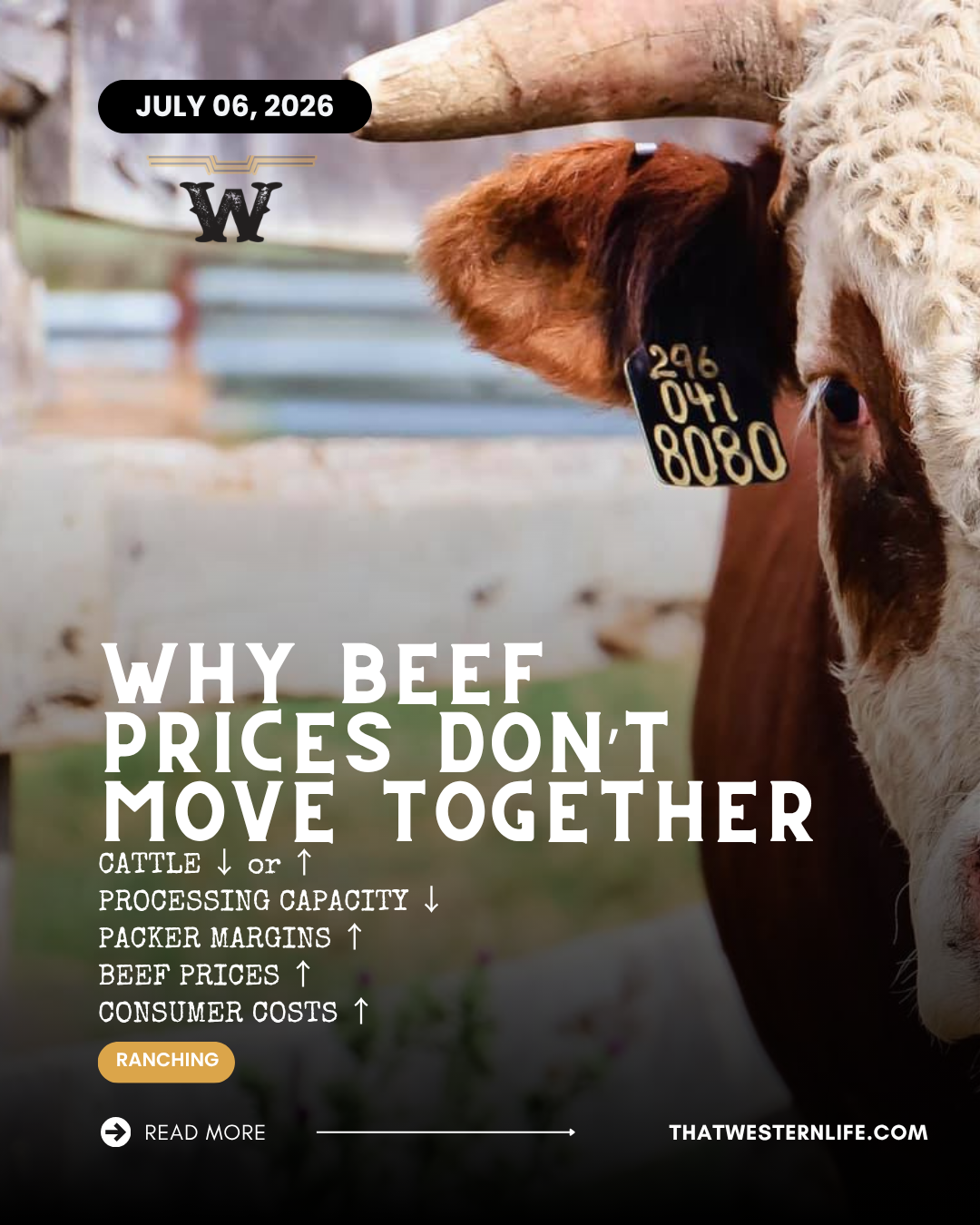 Why USDA's SPUR Program Matters to Ranchers