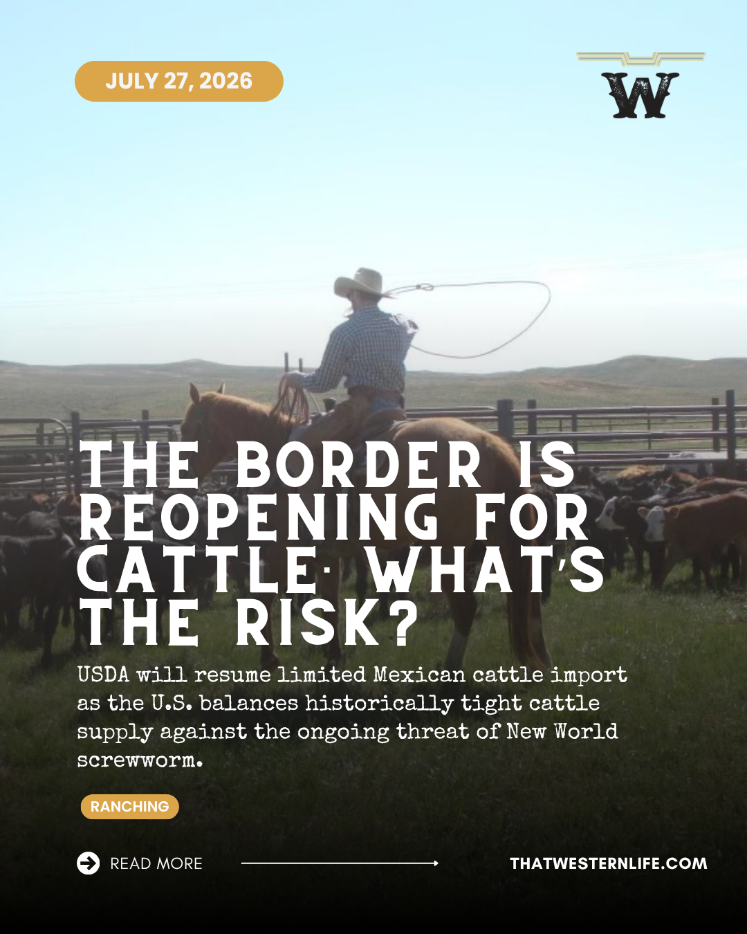 Reopening the Mexican Cattle Border Forces USDA to Balance Beef  Supply Against Biological Risk