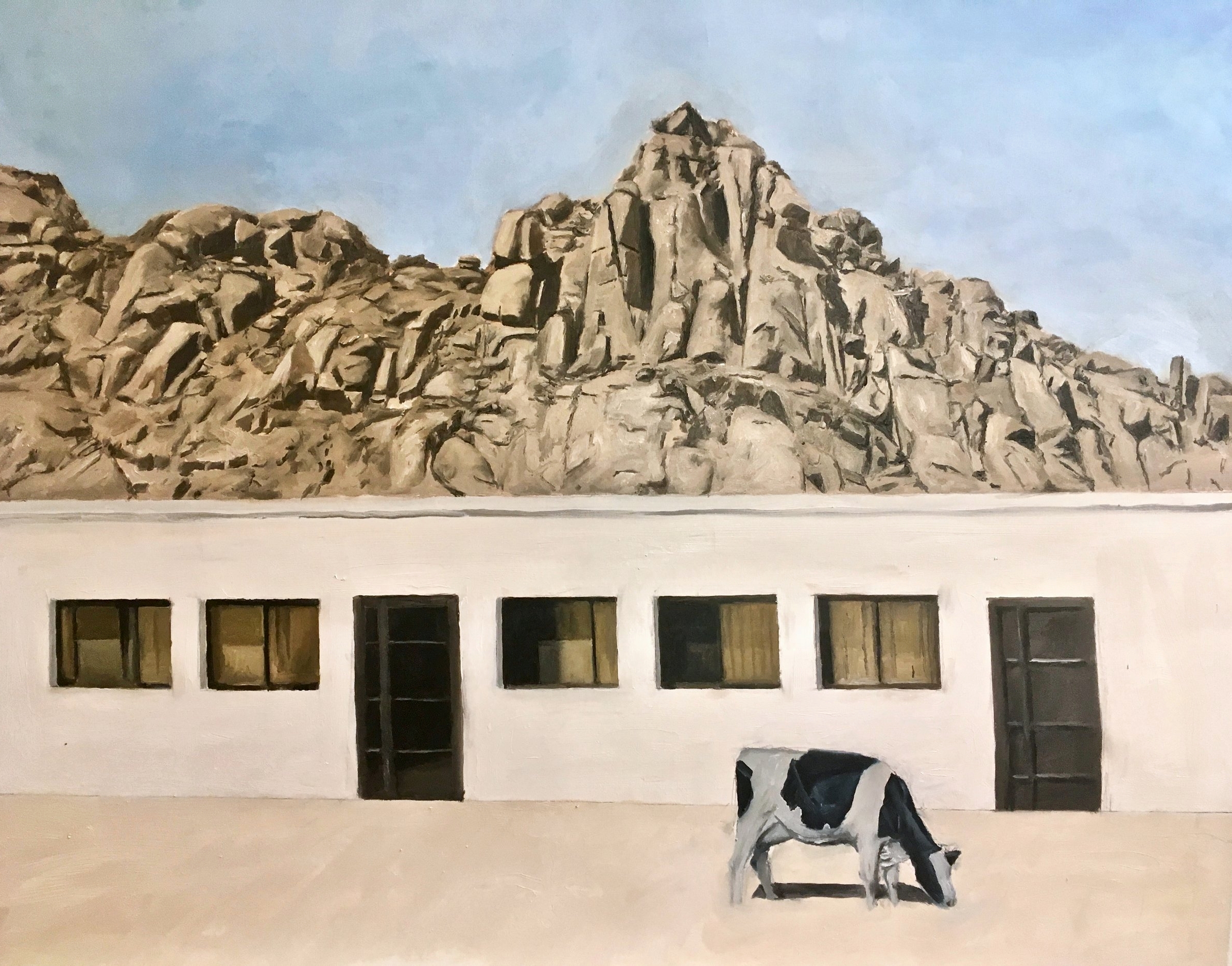 the blue cow oil on canvas, june 2017