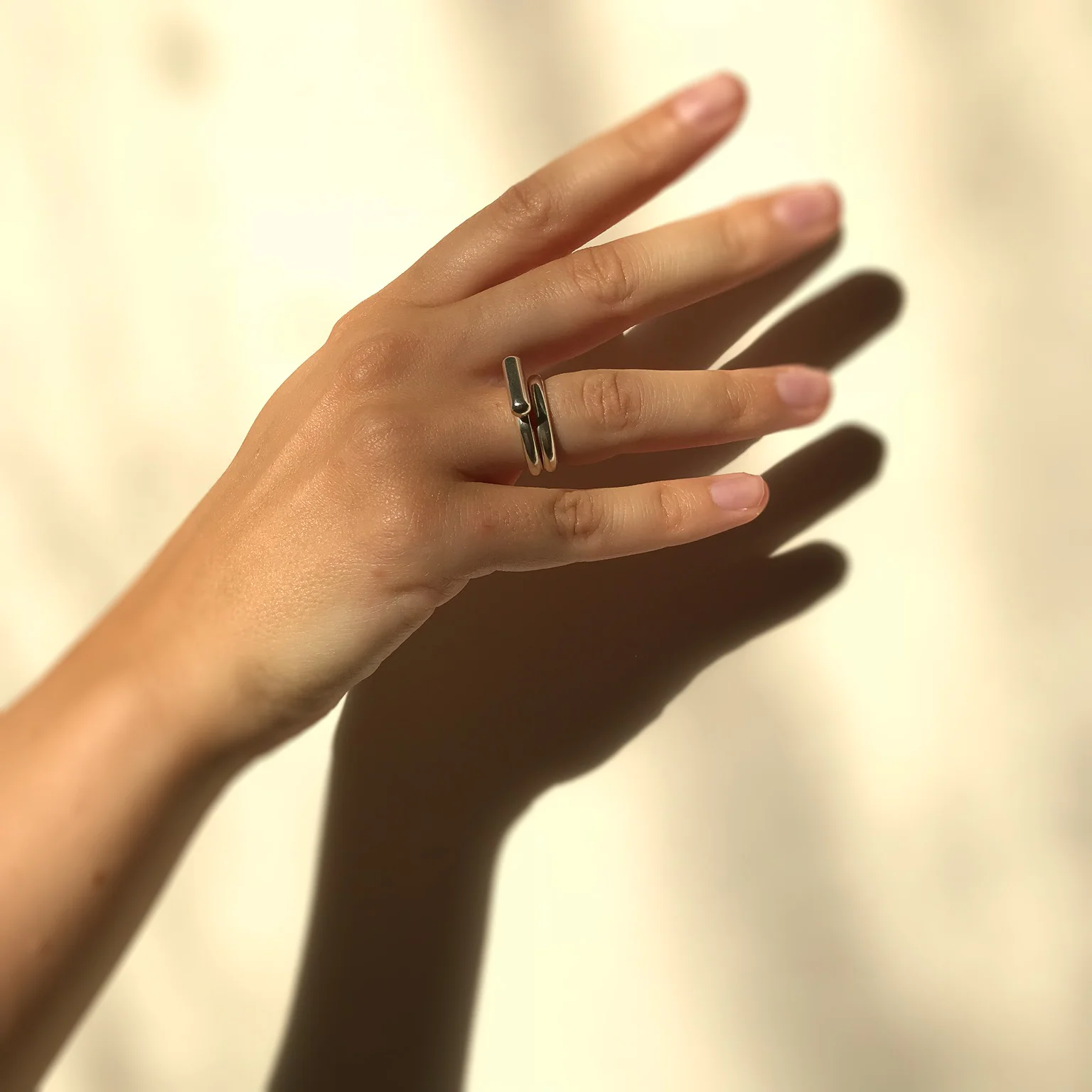 Ara the altar - Bar and Halo Rings - Model.jpg