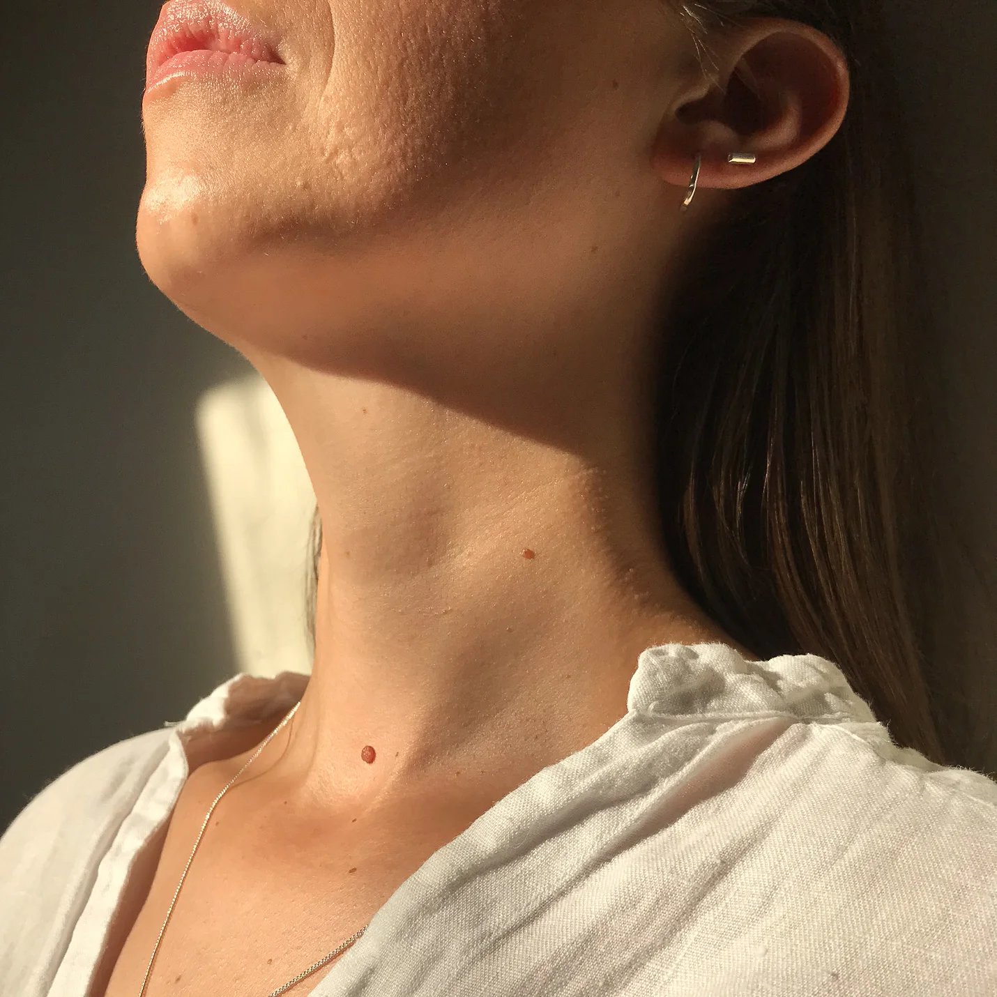 Ara the altar - Halo and Bar earrings i - Model - 1.jpg
