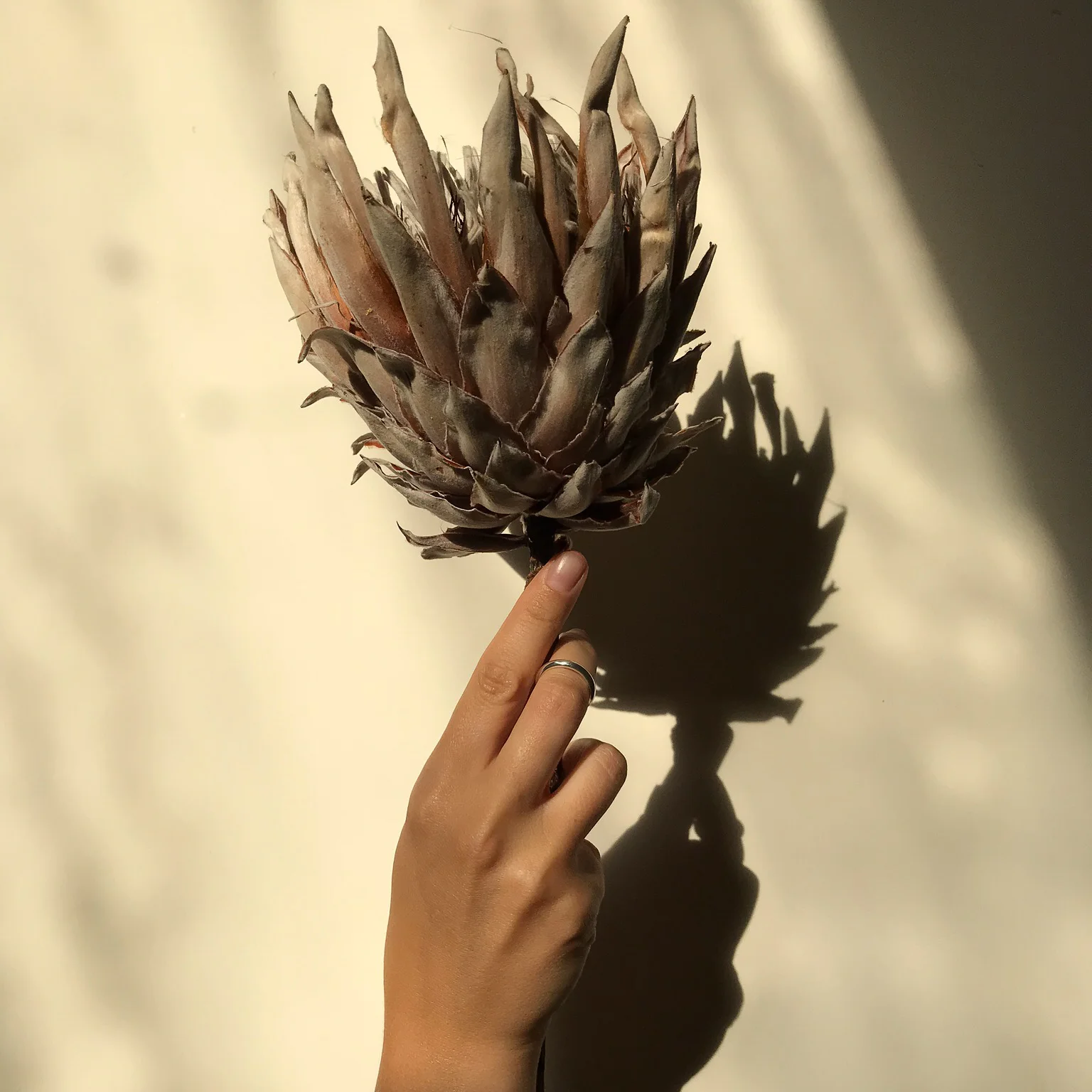 Ara the altar - Halo Ring i - Model.jpg