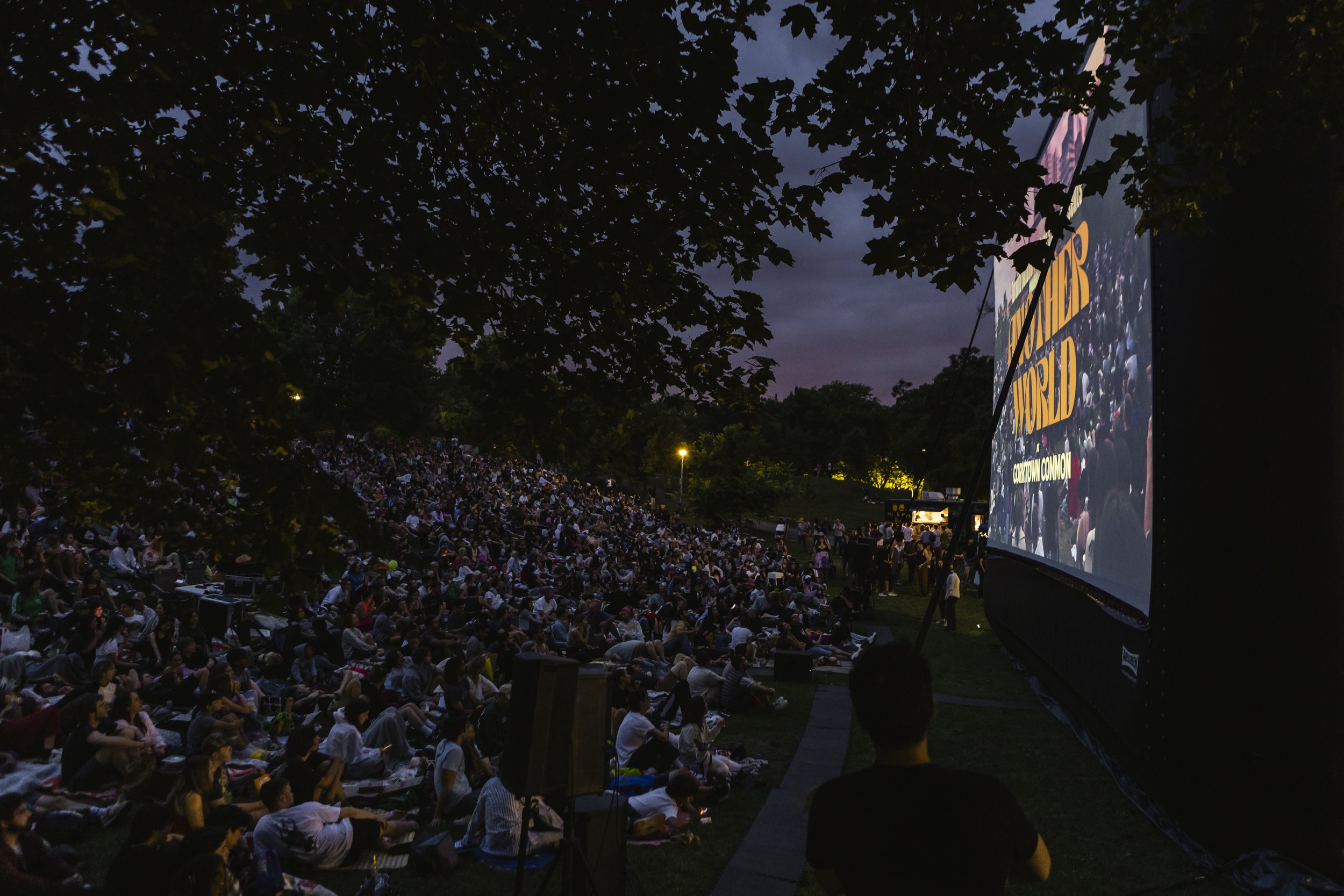  Christie Pits Film Festival, 2023  Large crowd sits in the dark on park hill, watching big TOPS screen 