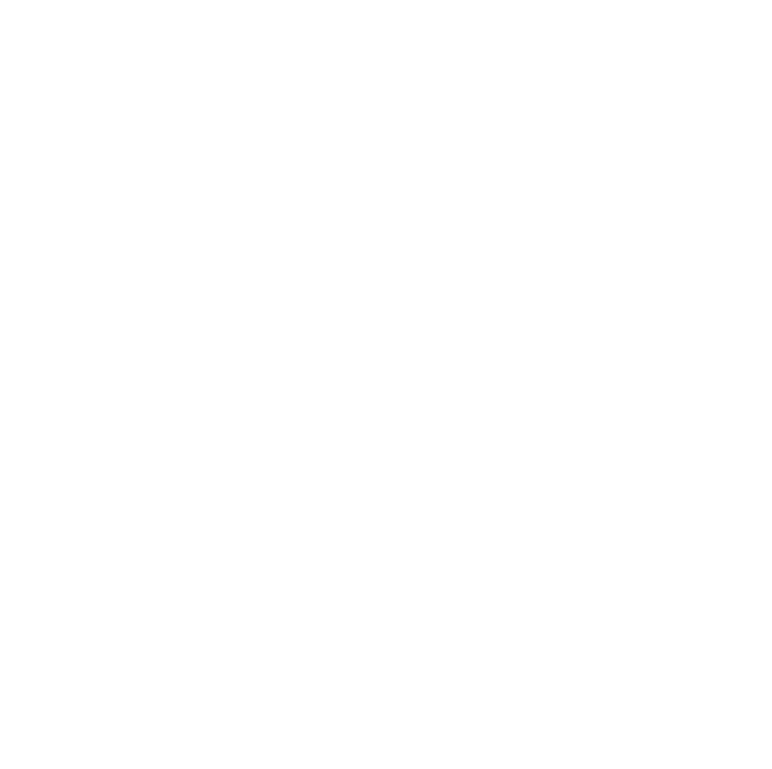 Toronto Outdoor Picture Show