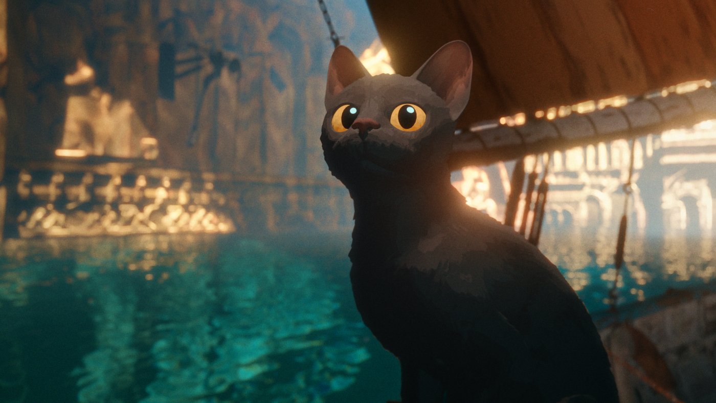 cat-on-a-boat-looking-up.jpg