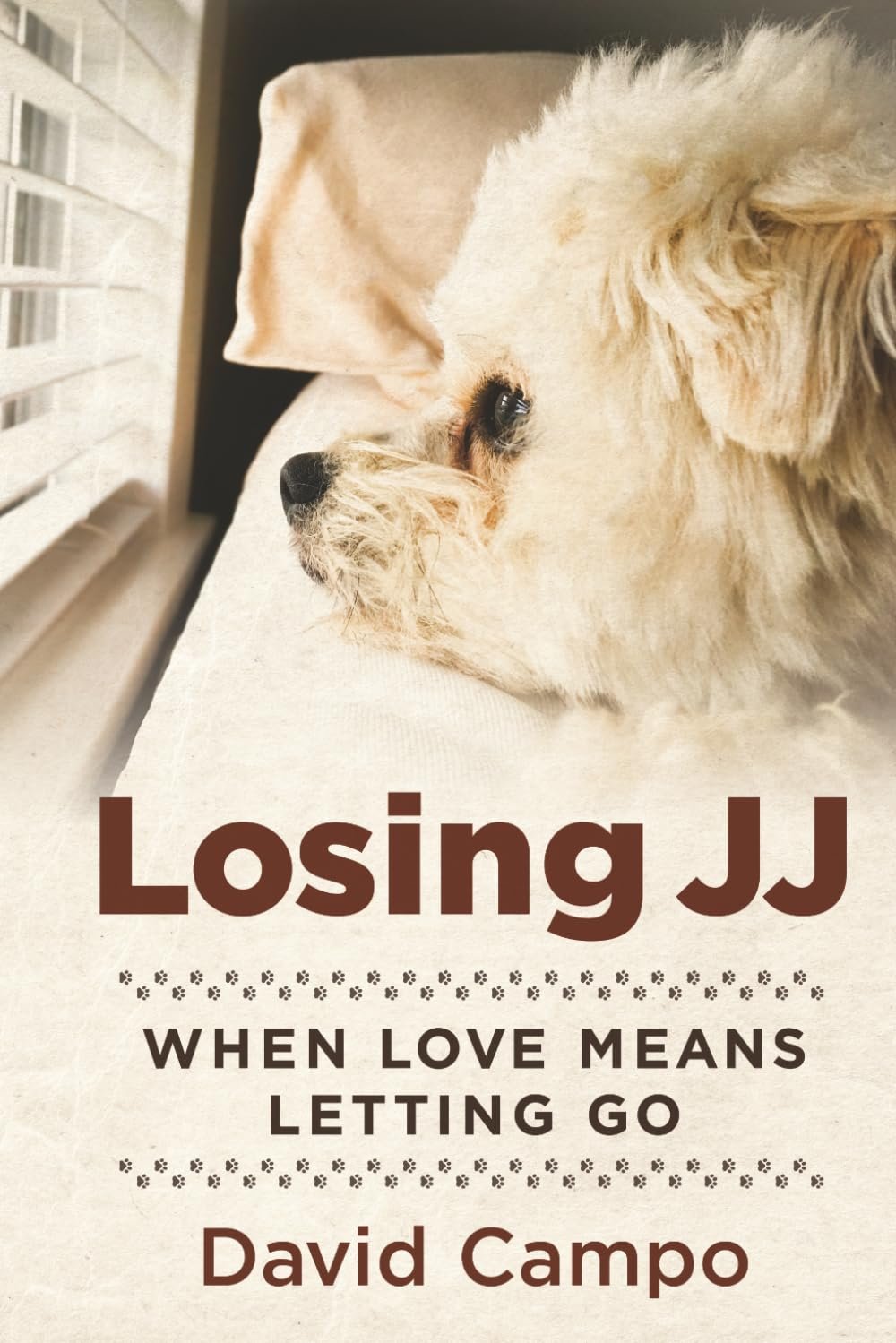 losing JJ david campo.jpg