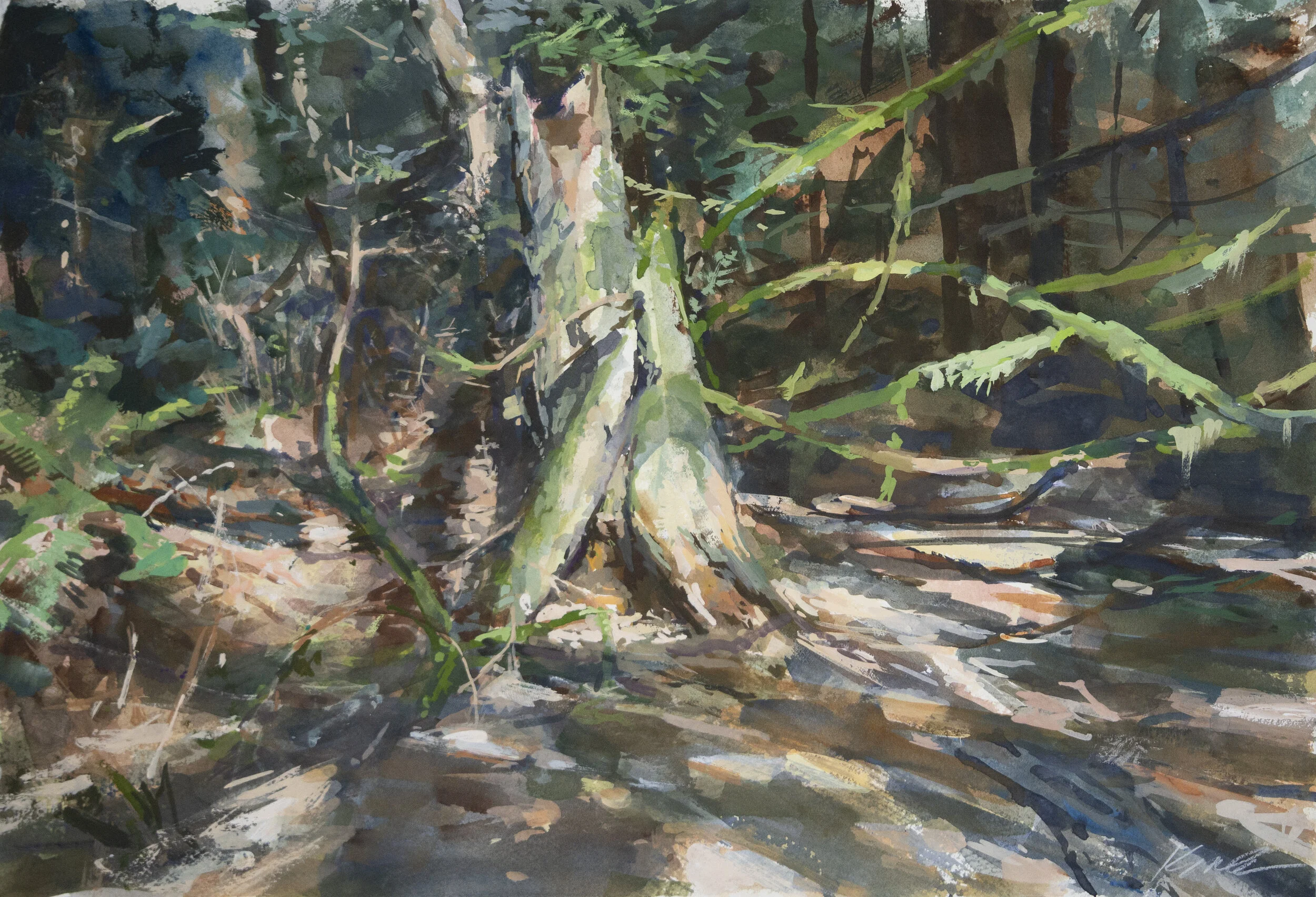 Stump.jpg