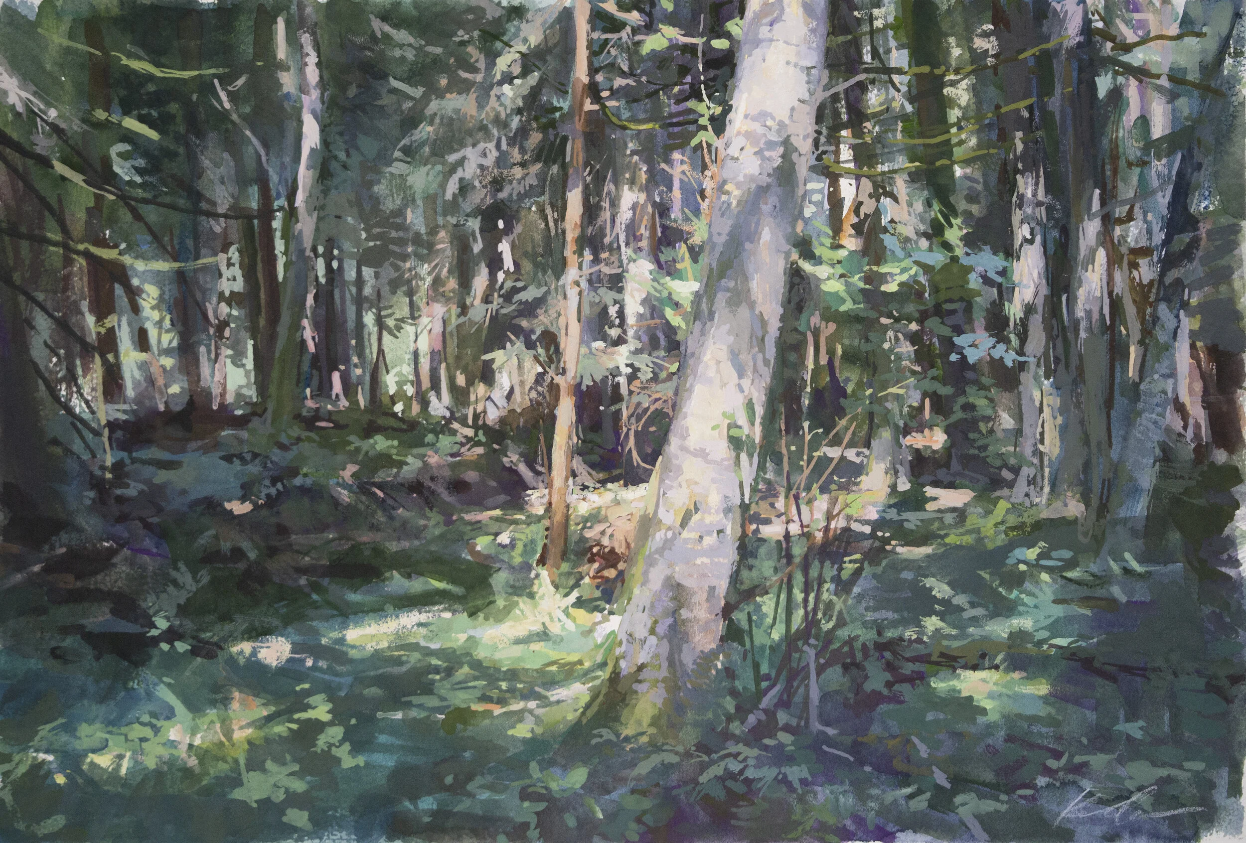 WoodsNearUprightChannel.jpg