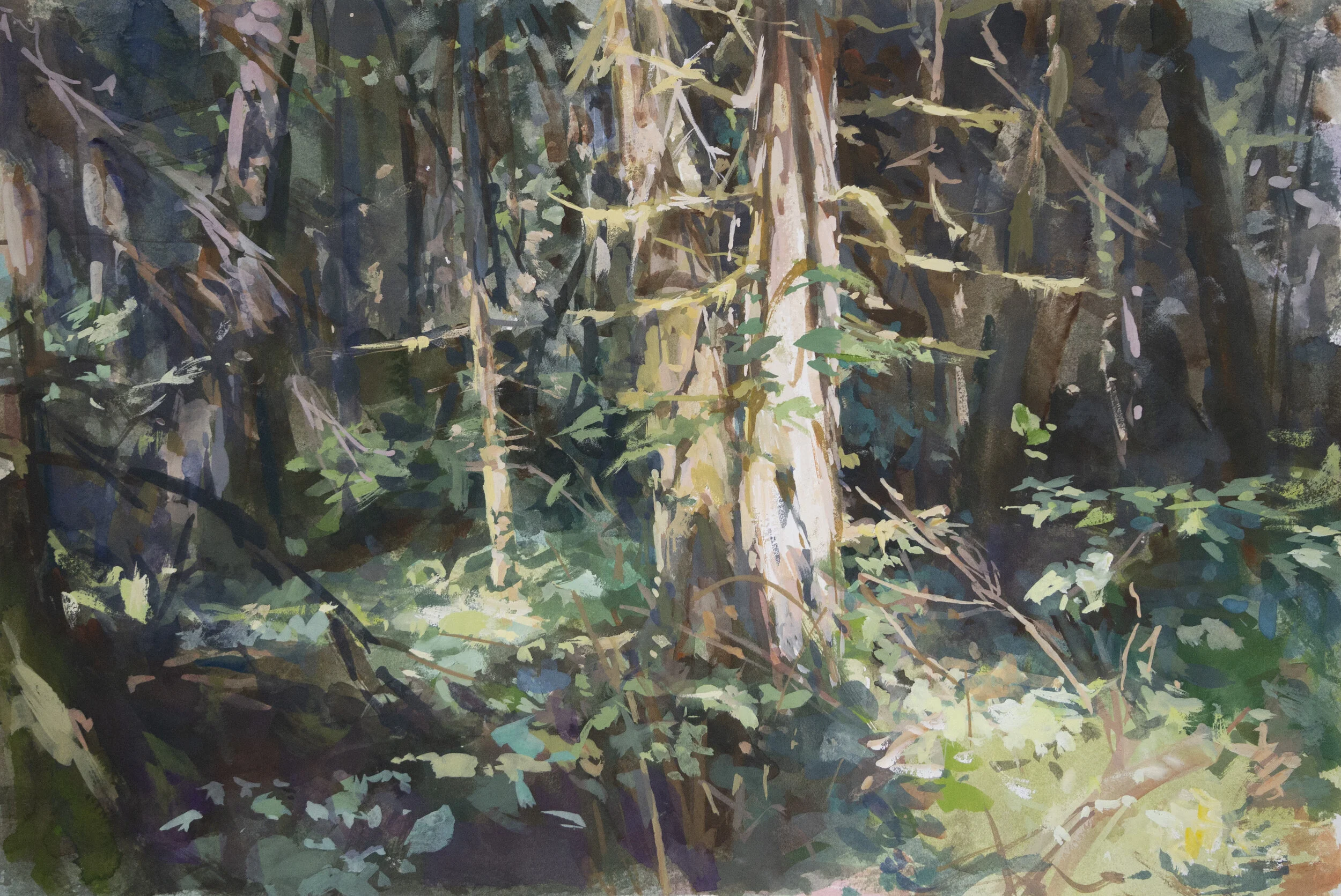 Woods.jpg