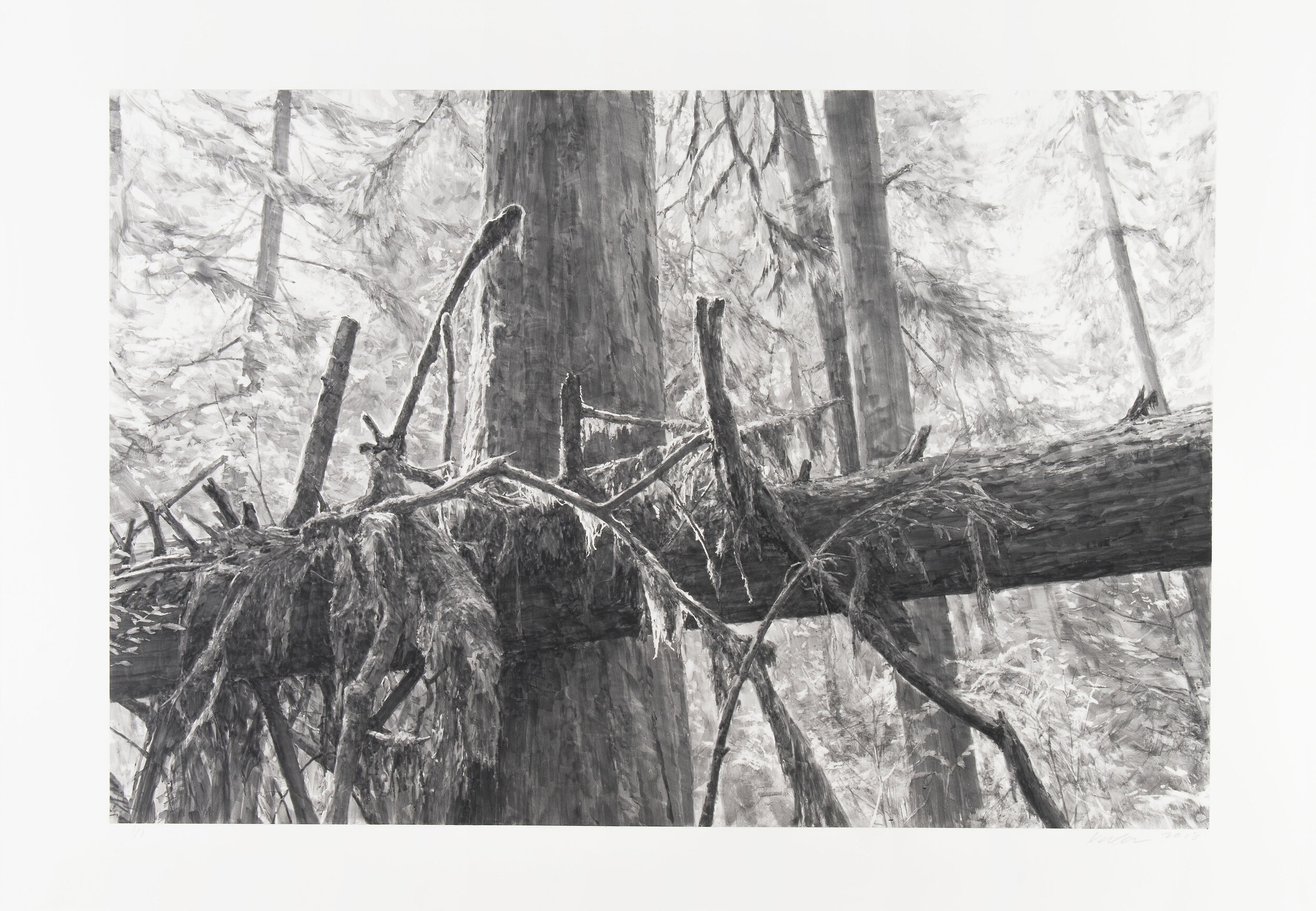 MKa18-24 LakeQuinaltDeadfall II.jpg
