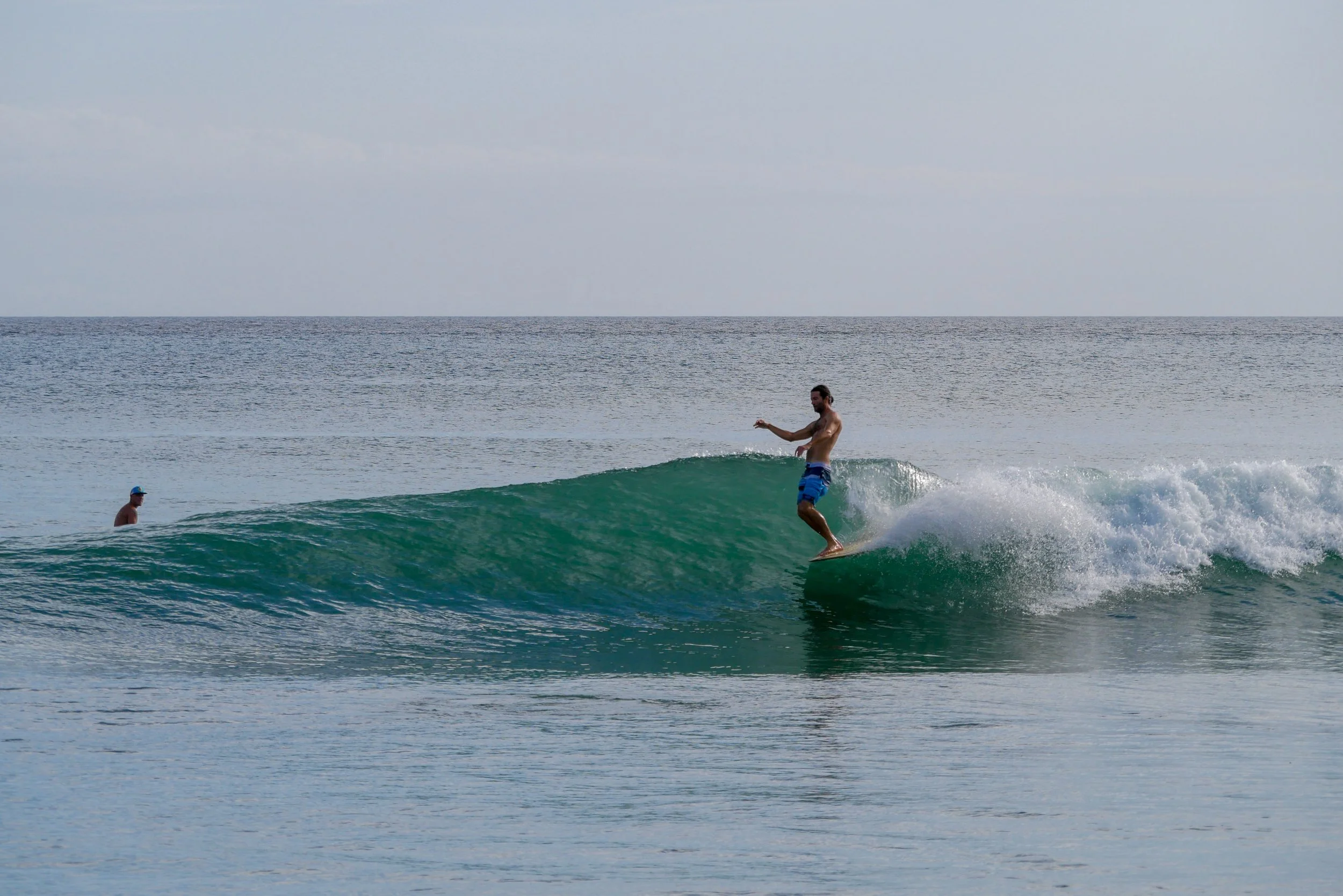 P1120120-2.jpg