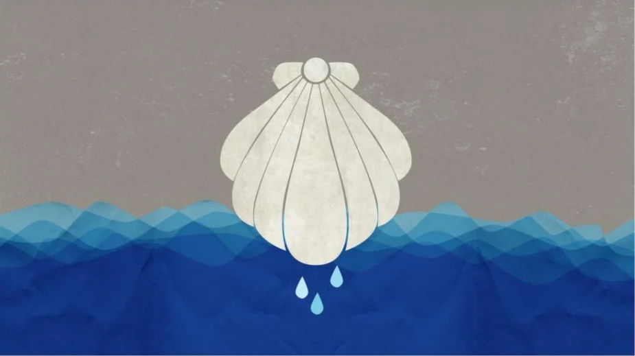 First Sunday after the Epiphany - The Baptism of Our Lord