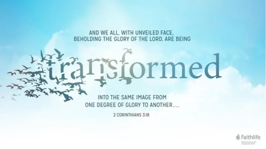 Last Sunday after the Epiphany - The Transfiguration of Our Lord