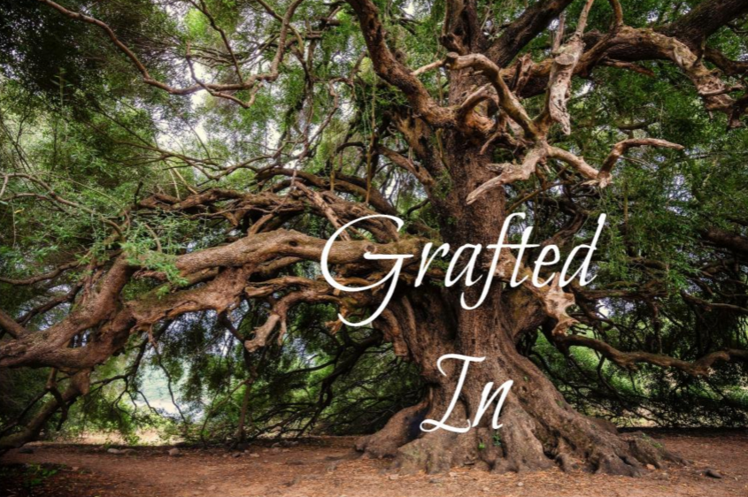Fifth Sunday in Lent- May It Never Be!