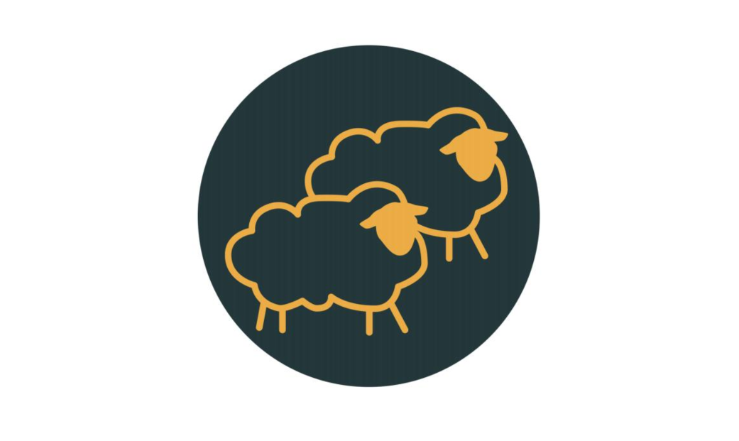 Fourth Sunday of Easter - Good Shepherd Sunday