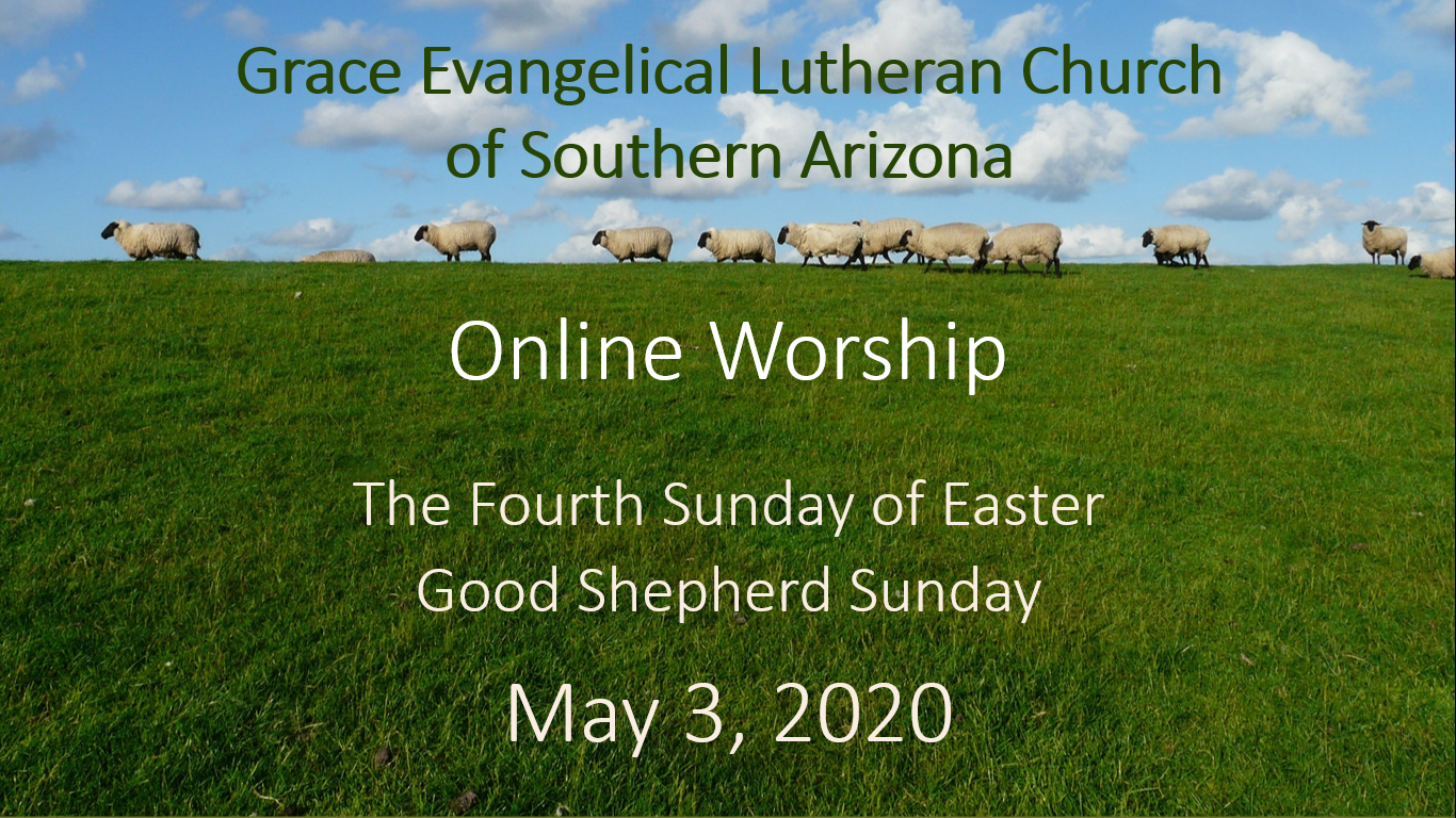 Fourth Sunday of Easter - May 3 - Good Shepherd Sunday