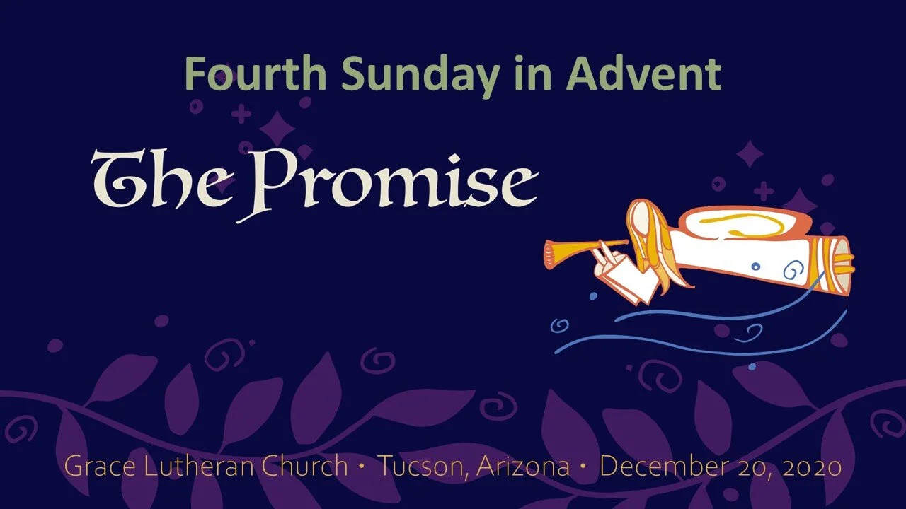 12/20 - Fourth Sunday in Advent - The Promise