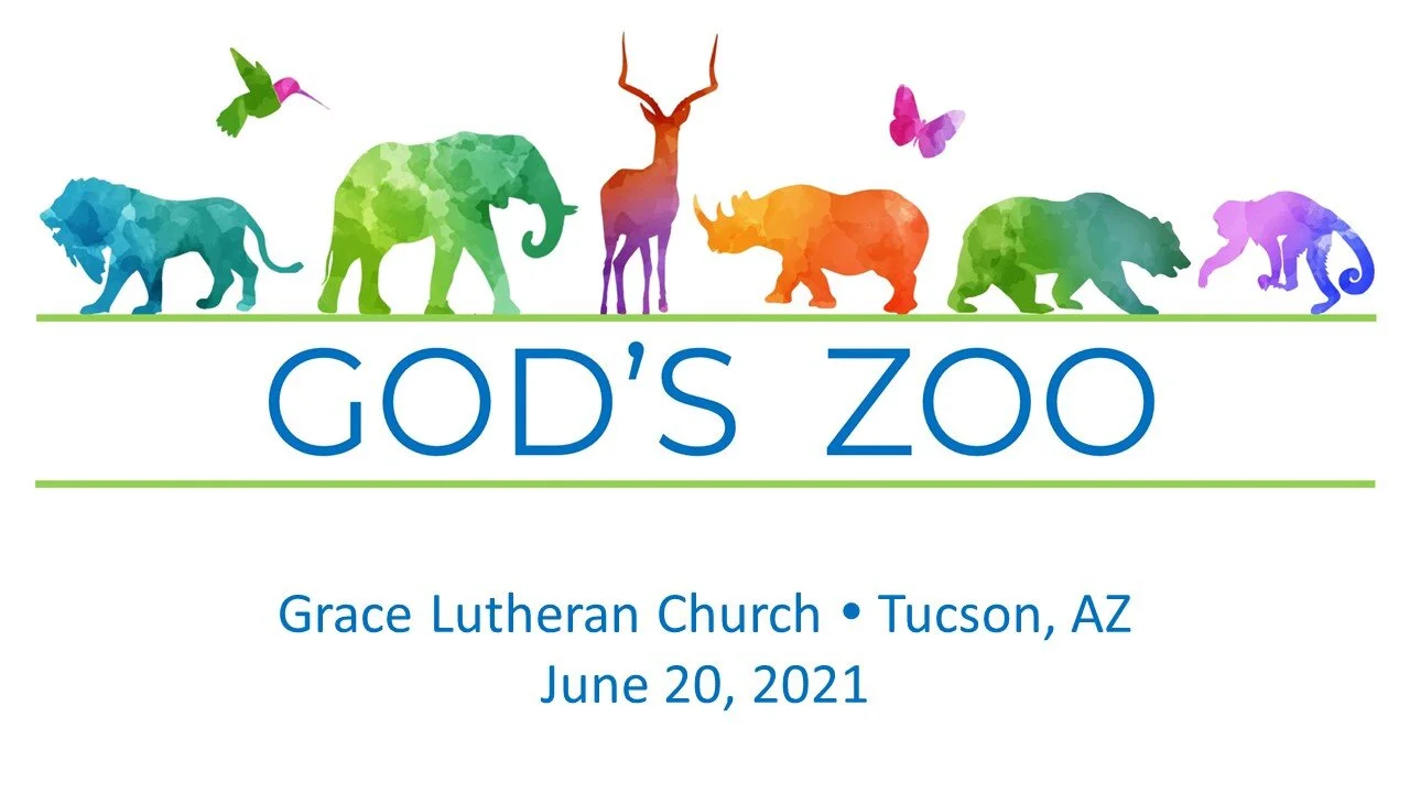 6/20 - Tucson - Bible Study &amp; Worship - God's Zoo Week #3