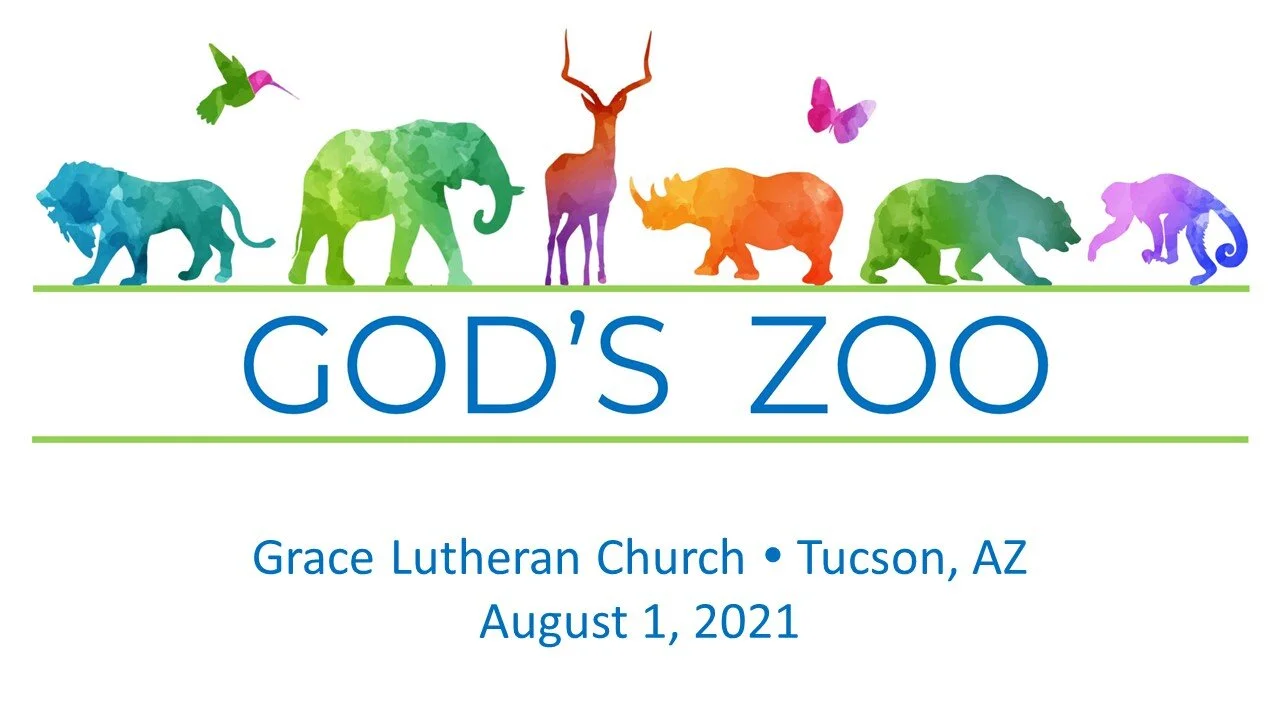 8/1 - Tucson - Bible Study &amp; Worship - God's Zoo Week 9