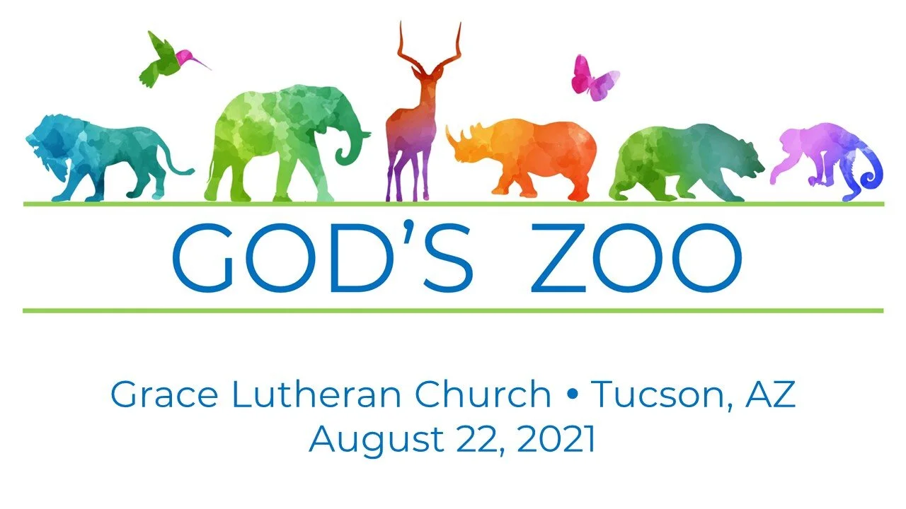 8/22 - Worship - God's Zoo