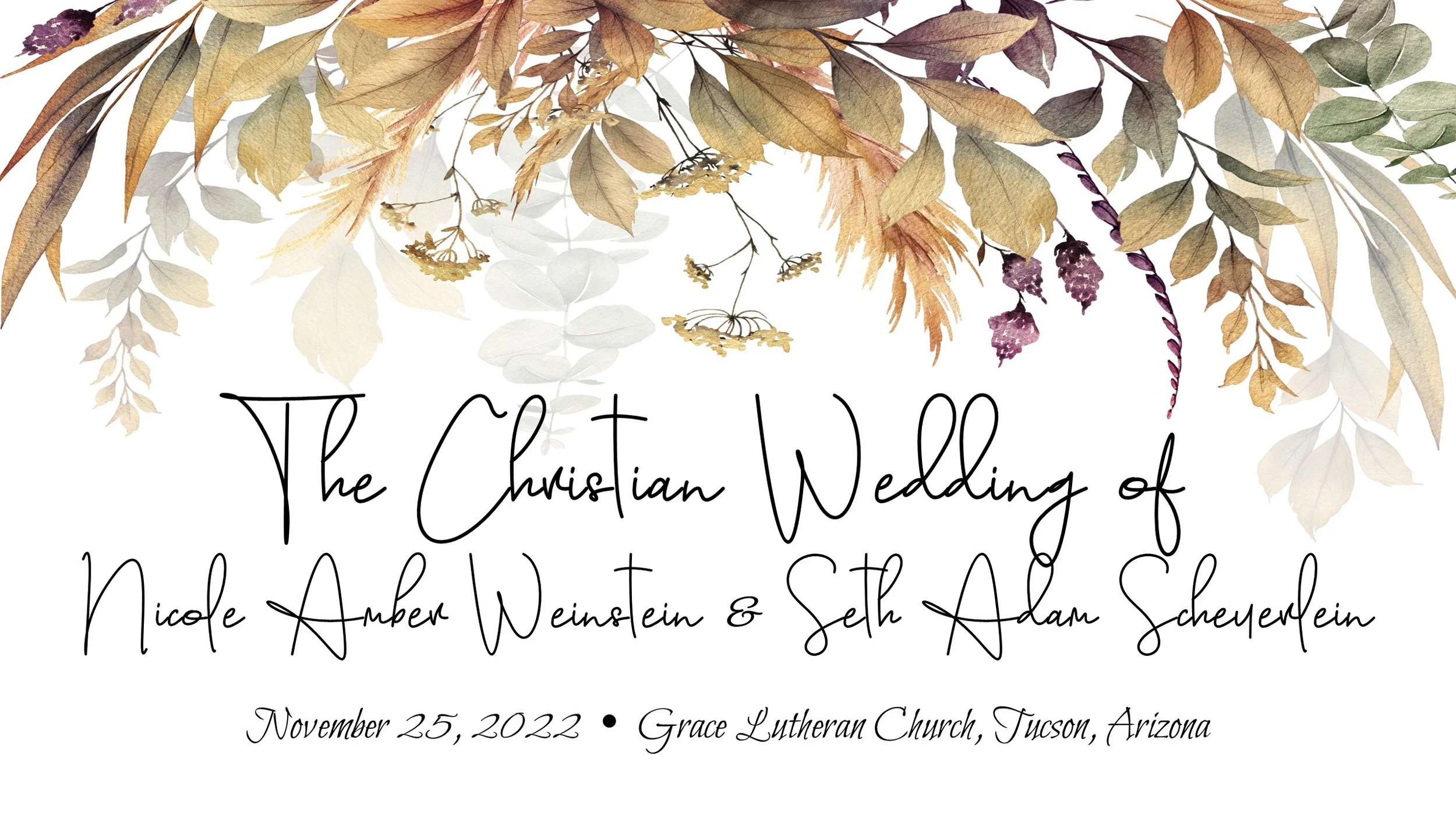 11/25 - The Christian Wedding of Nicole Amber Weinstein &amp; Seth Adam Scheuerlein