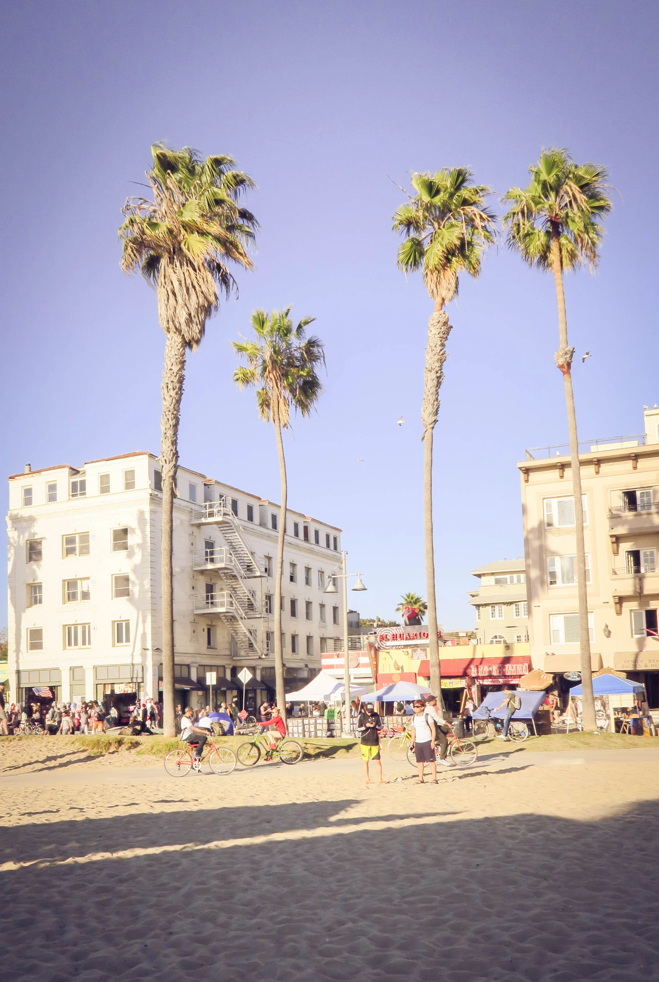 Only chill vibes in Venice Beach