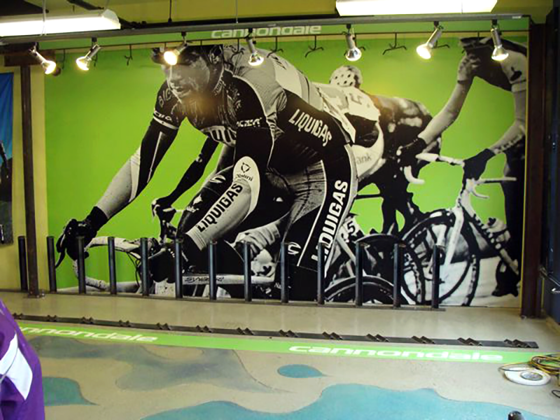 Cannondale WEB04png