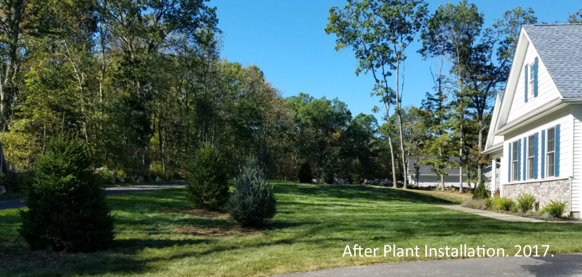 After Plant Installation