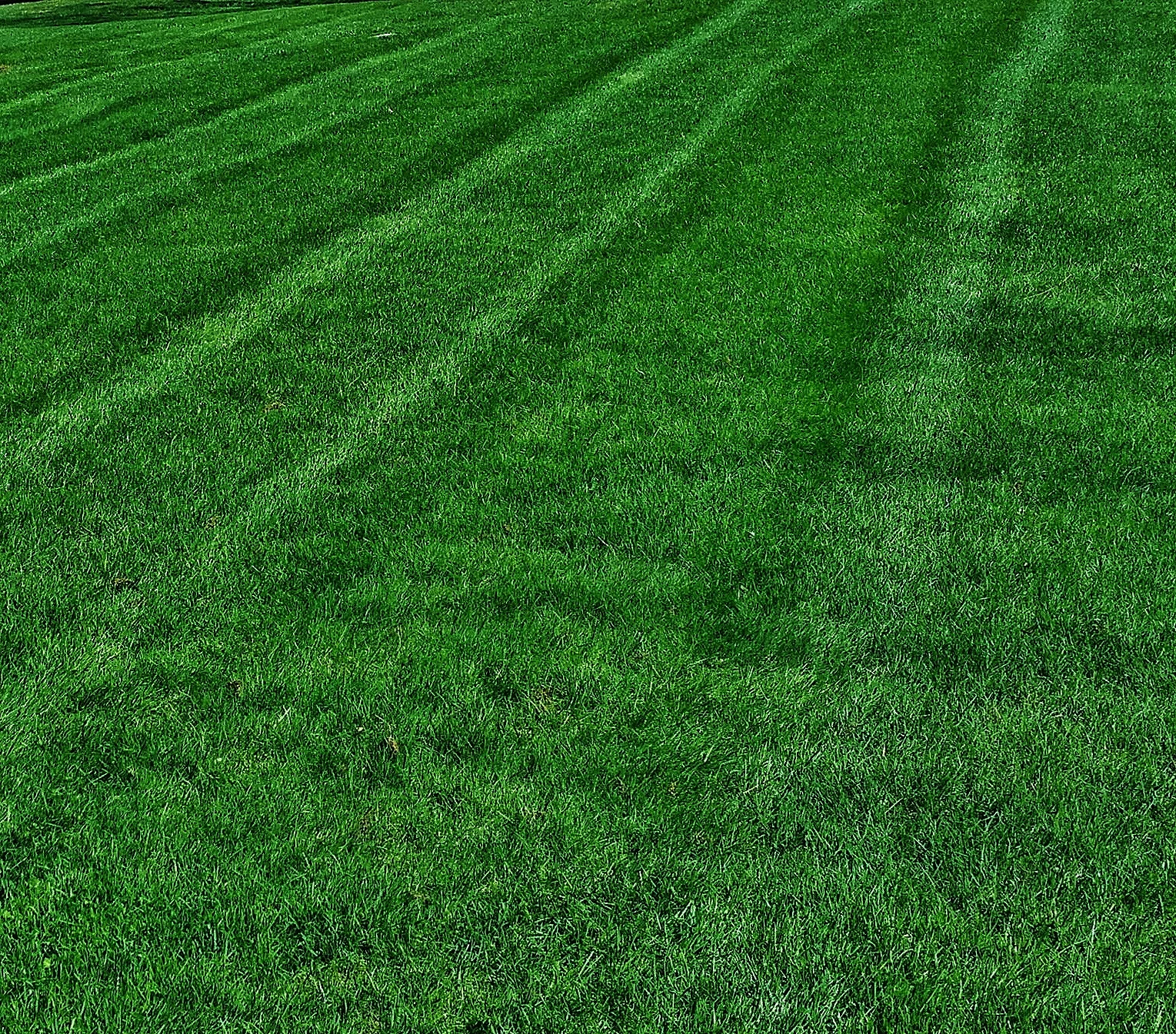 Picture3.jpg