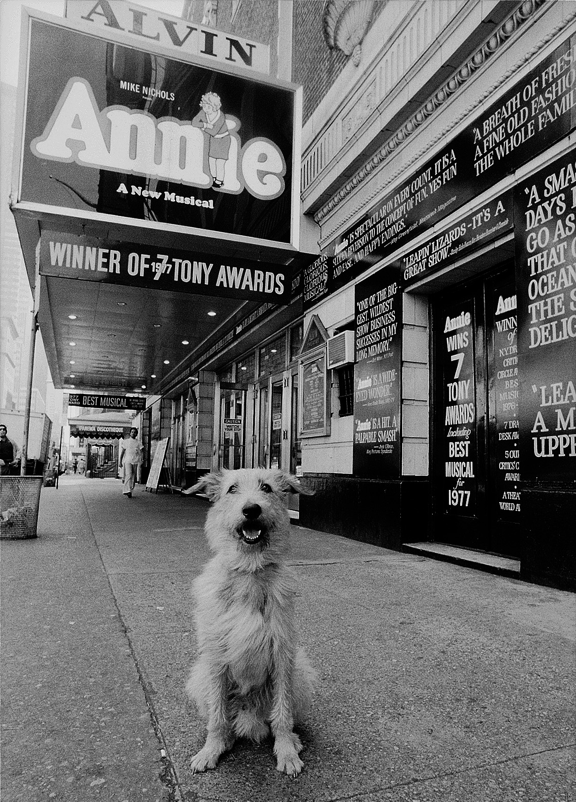  "Sandy" the canine star of the hit Broadway show "Annie." 