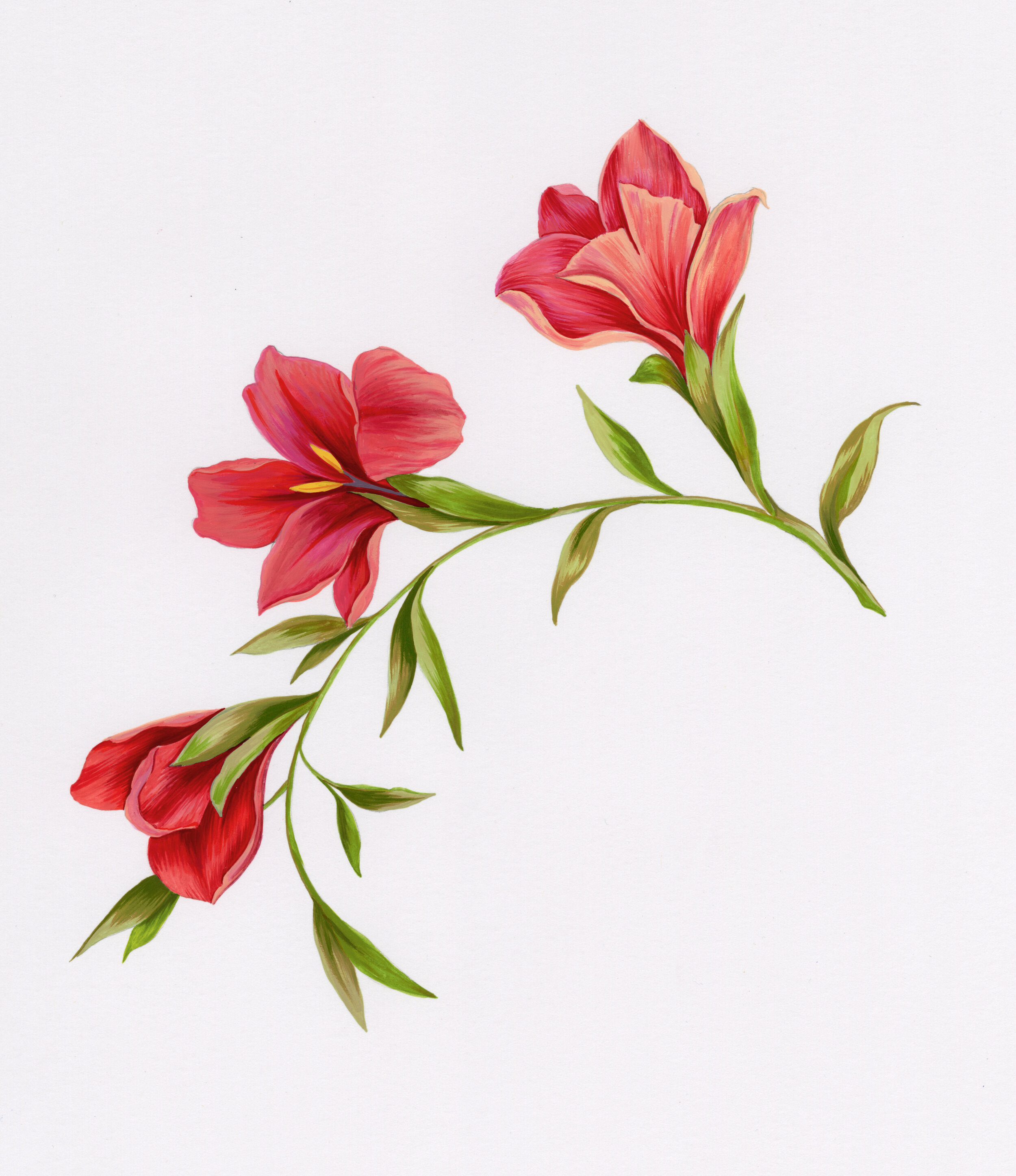 CrocusPainting.jpg