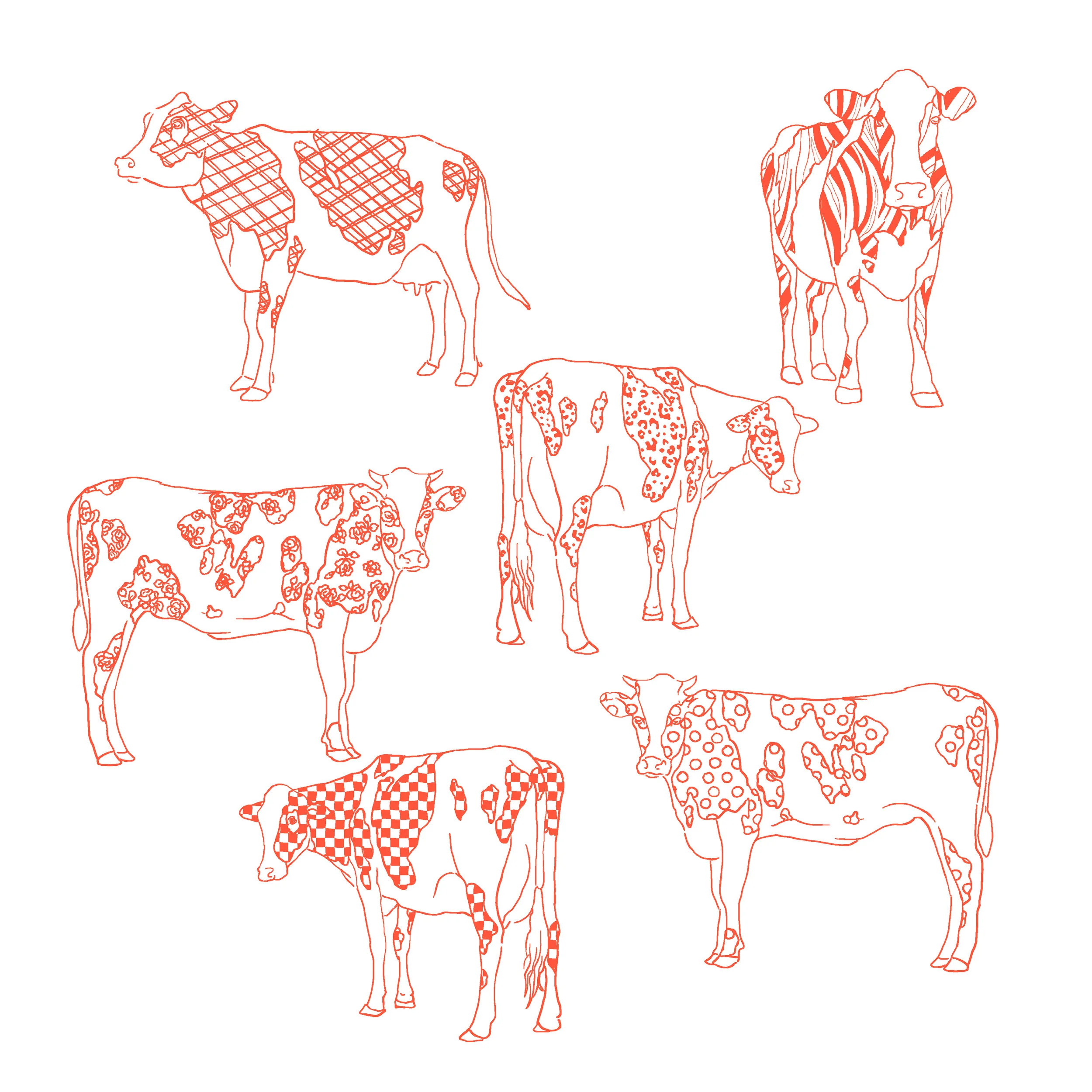 MOO.jpg