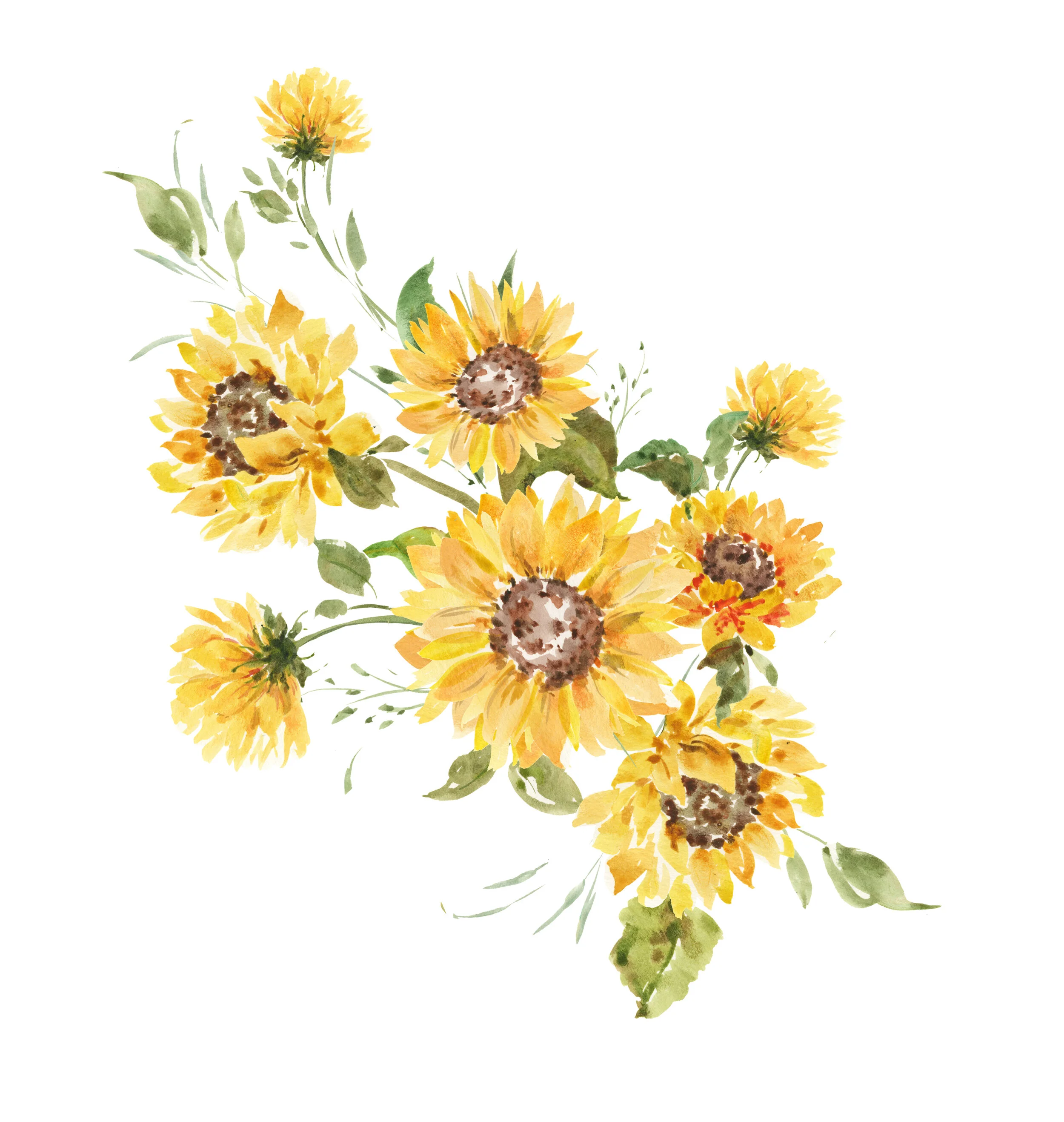 Sunflowers.jpg