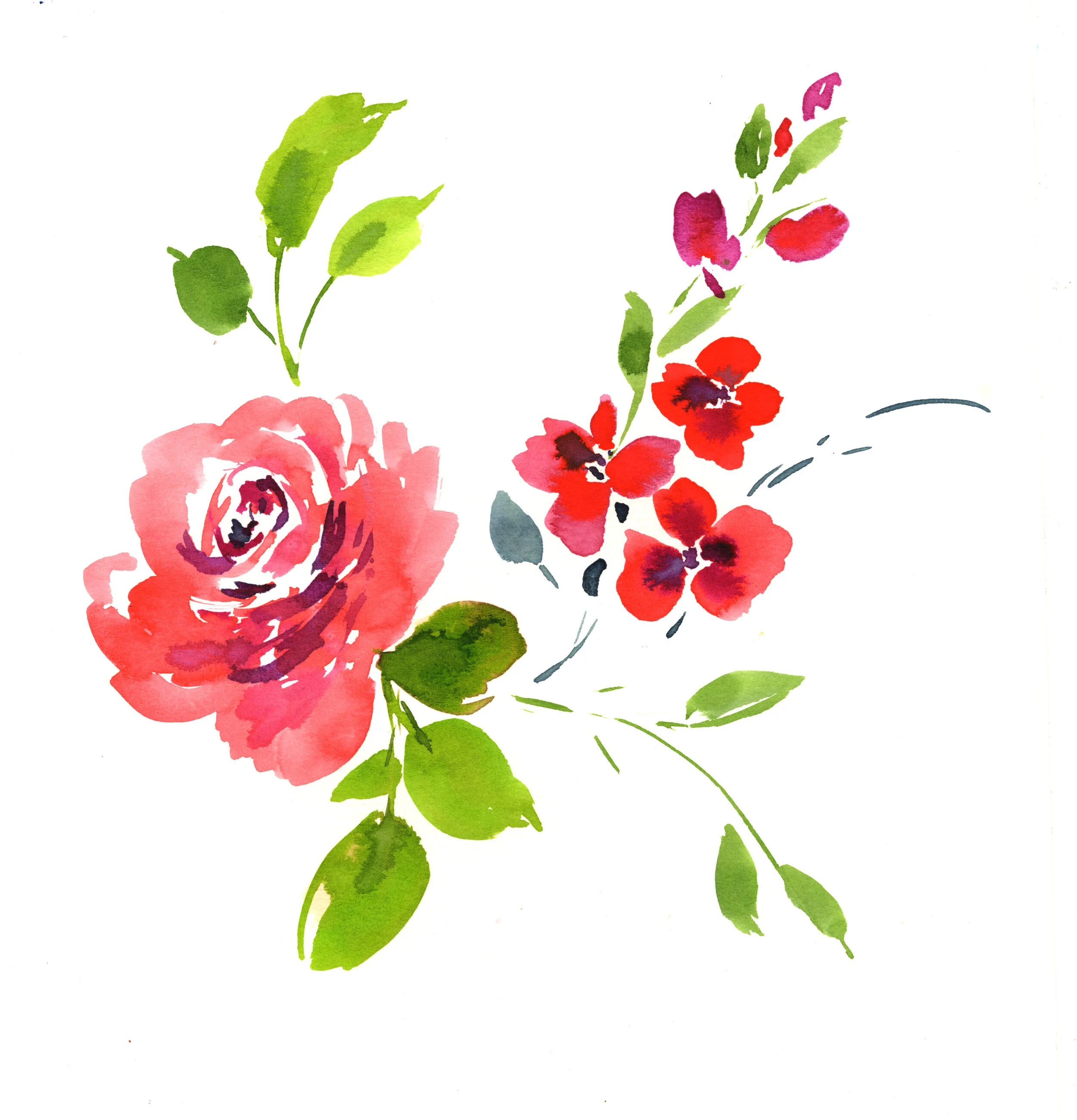 Rose.jpg