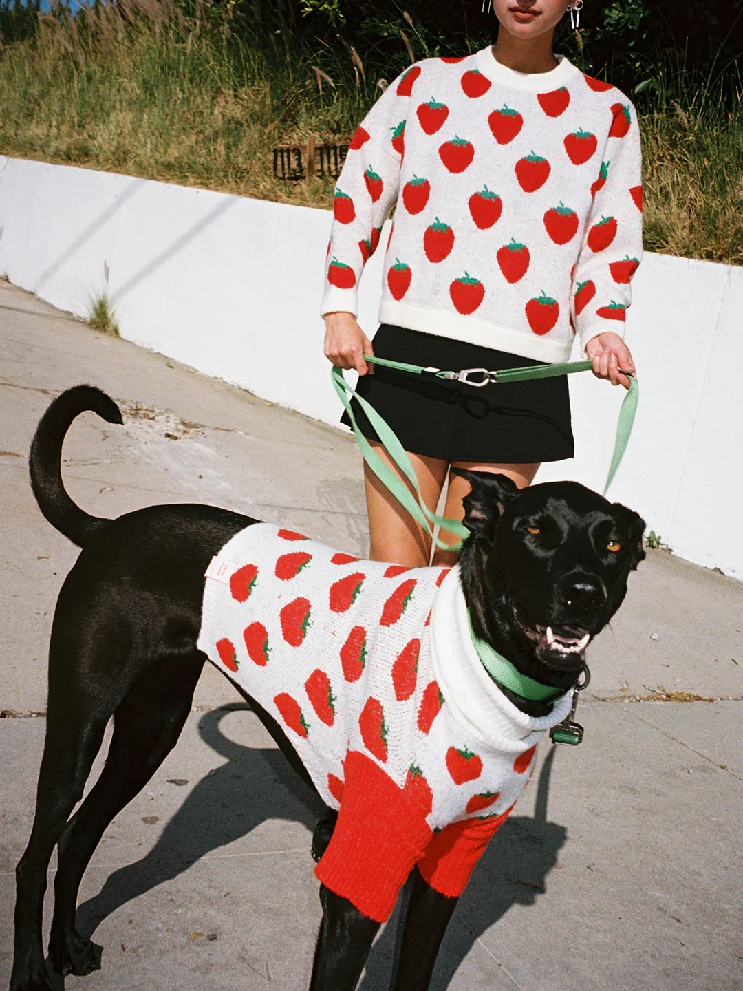LIND842-095_little_beast_strawberry.webp