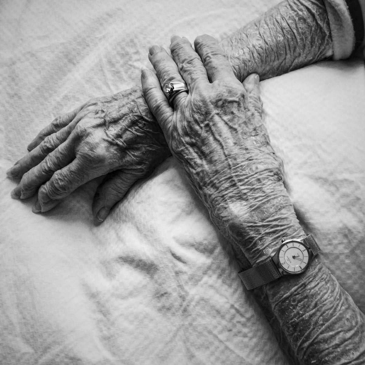  My Mother's hands. &nbsp;Plymouth, Minnesota 