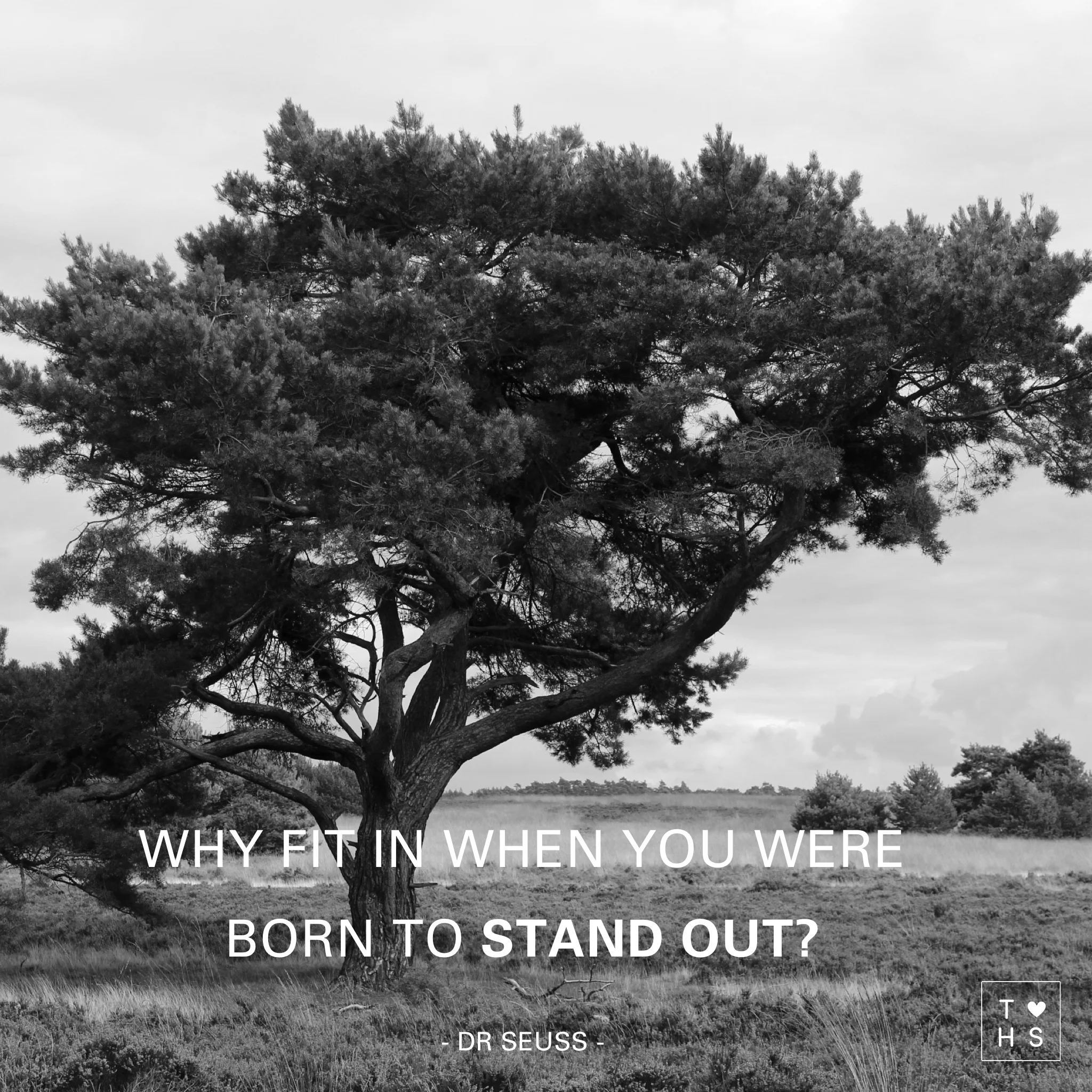 We are all marvels, human beings destined to love, to care and to create in an ever changing world. We worry about fitting in, but we aren’t happy with the status quo. Change is eminent and we are all born creators. So start creating, today. Get out of the box, pick up the pen and start writing your own story. We need you!