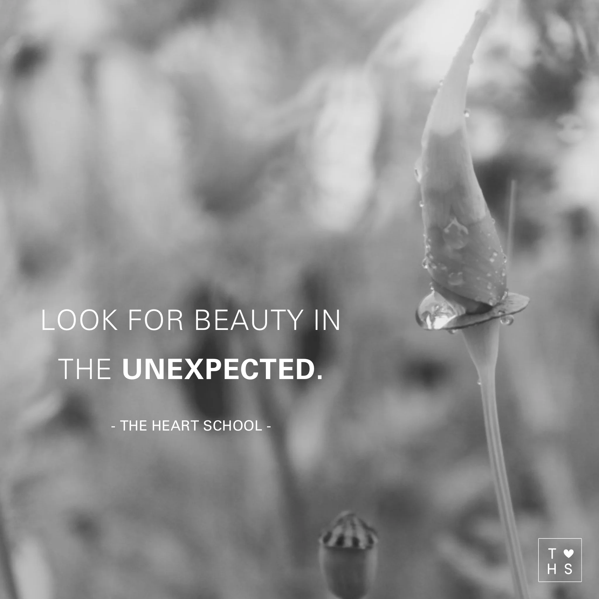 As they say, ‘beauty is in the eye of the beholder’. You can’t argue about beauty, there is no right and there is no wrong. If you want to put more beauty into anything and everything you do start looking for spunk, spirit, character, kinkiness, personality, surprise, heart, lively, playfulness, desire, pain, in the most unexpected. It will not only show you beauty, it will give you a kick!