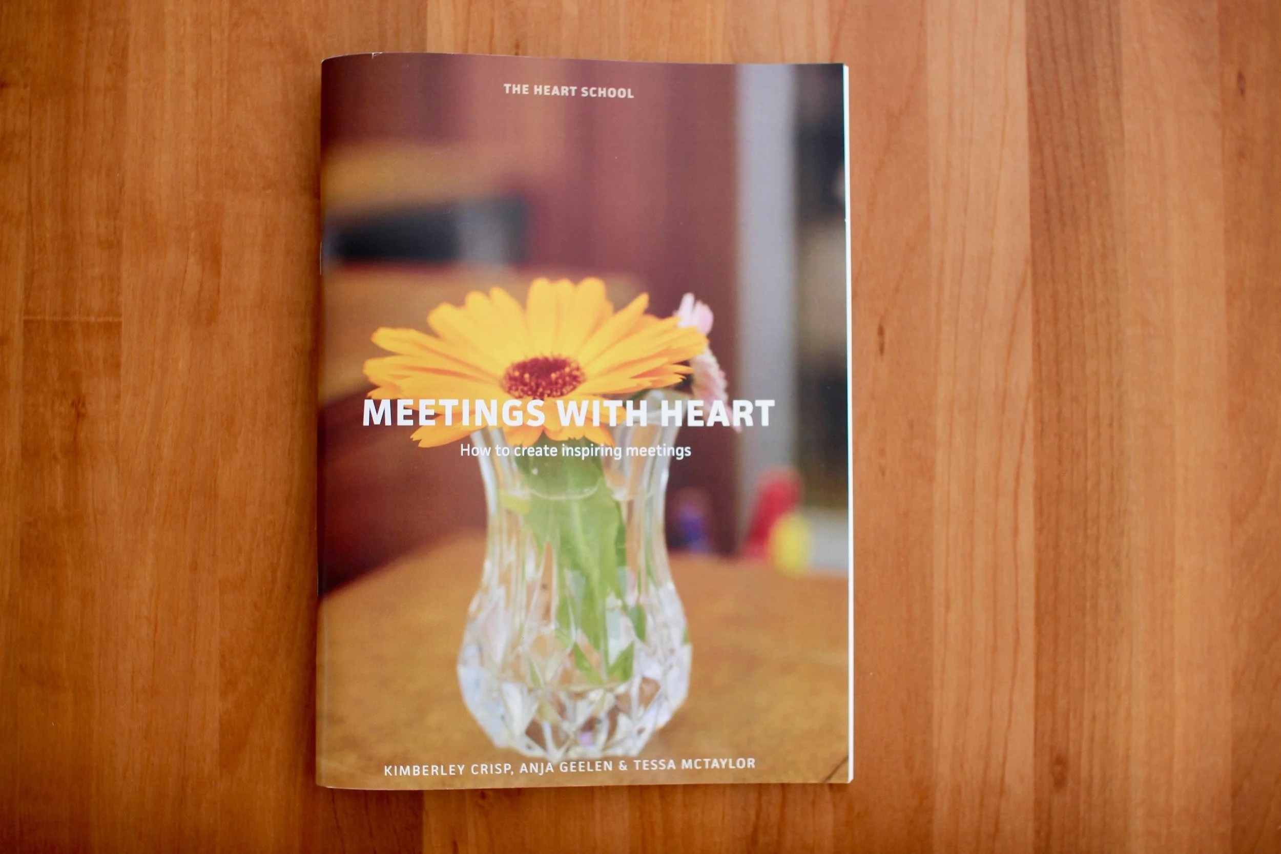 Meetings with heart teacher guide