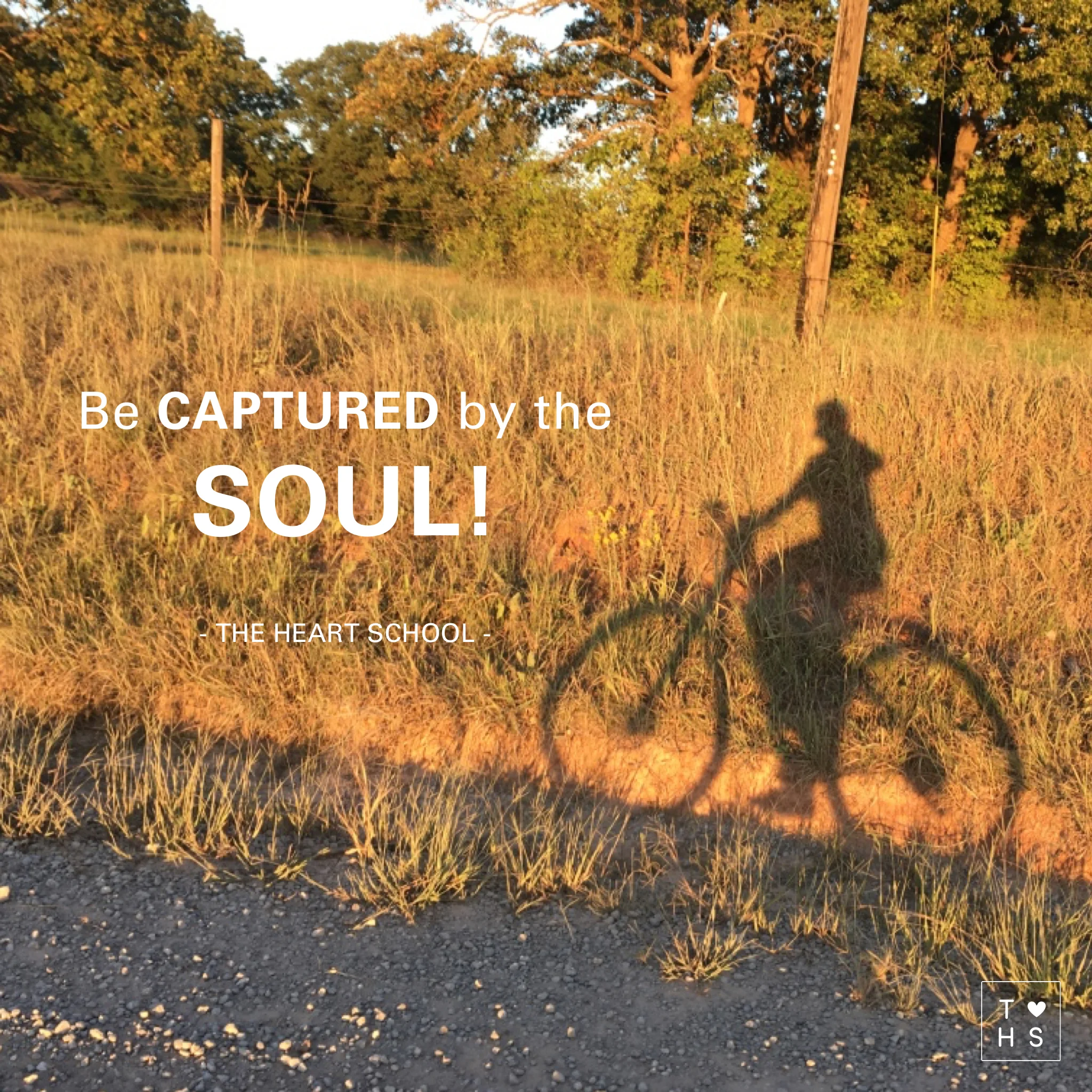 73 Be captured by the soul.jpg